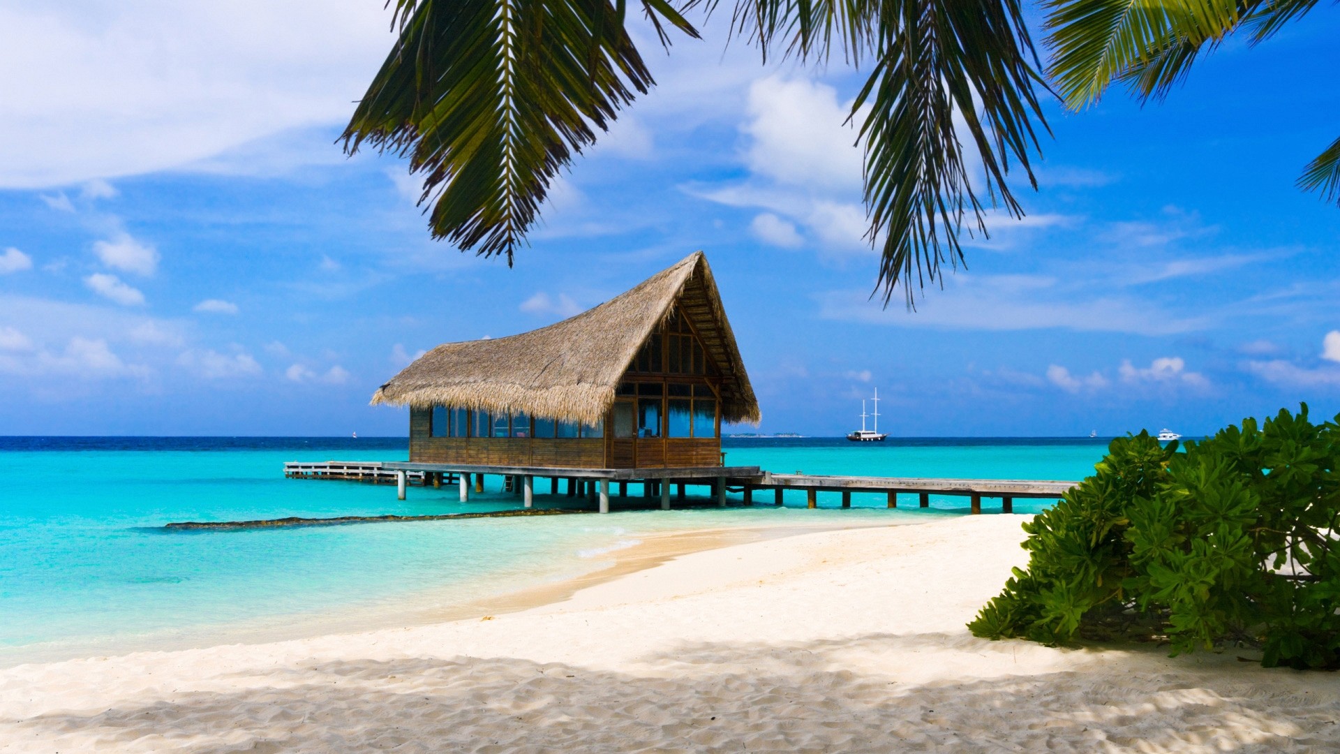 Capanna, Pontile, Palme, Spiaggia tropicale, Mare turchese, Full HD, sfondo per portatile