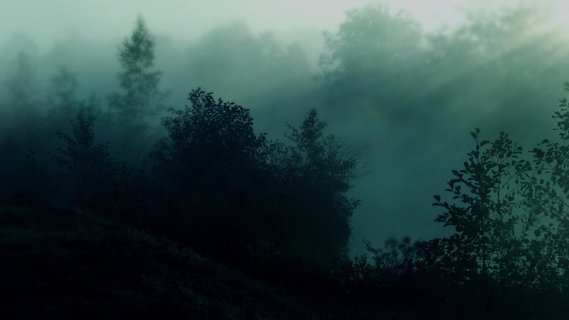 Bosco nebbioso, Colline, Toni verdi, Foschia, 16:9 Full HD, sfondo widescreen