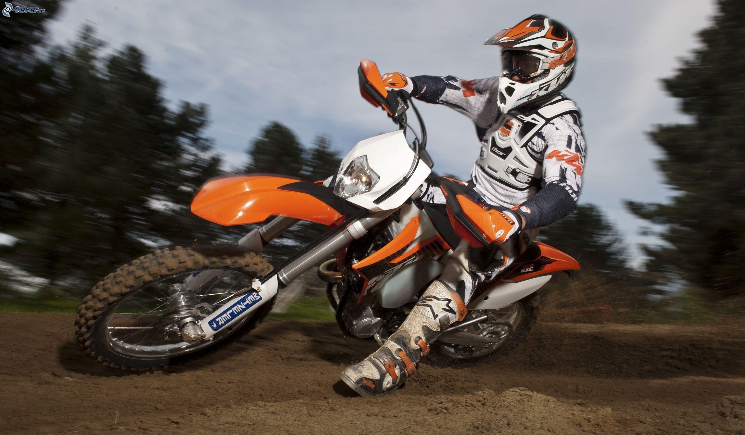 KTM EXC, Enduro, Curva, Bosco, 2K, sfondo per PC e portatile