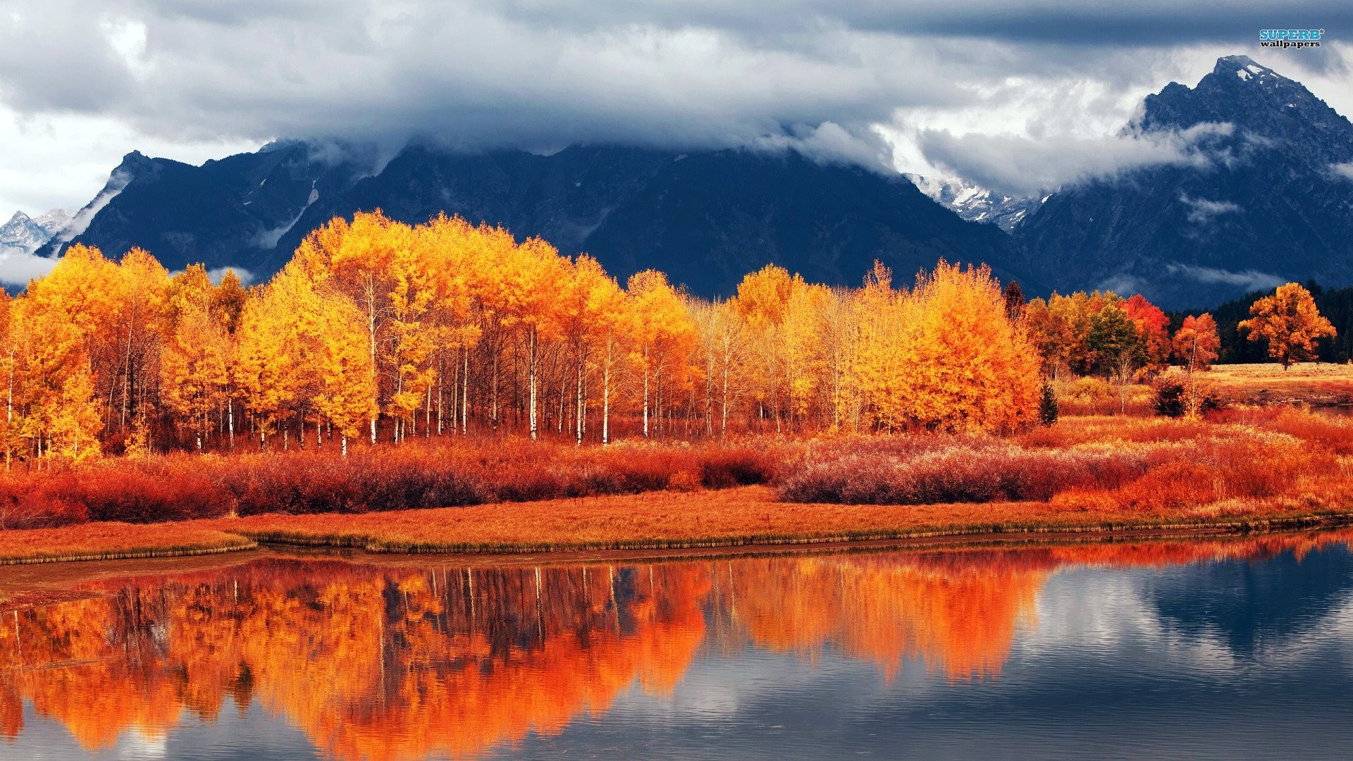 Grand Teton, Pioppi tremuli, Riflesso, Foliage arancione, Full HD, wallpaper per computer