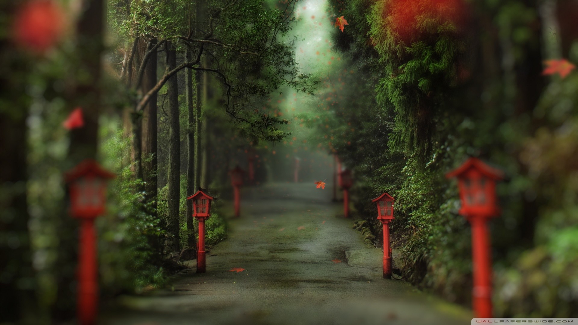 Sentiero, Lanterne rosse, Giappone, Bosco, Sfocato, Full HD, wallpaper per portatile