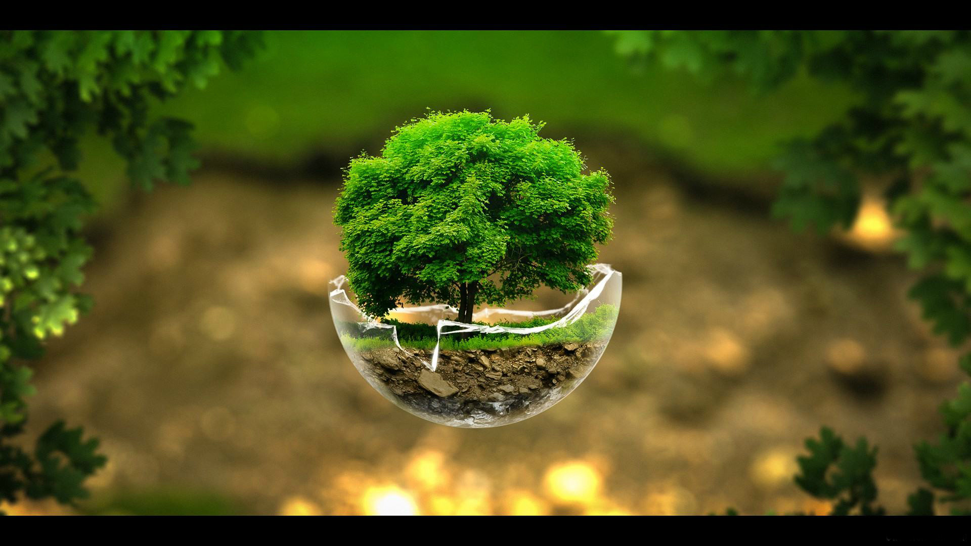 Albero, Mezzo globo, Ecologia, Bokeh, Full HD 1080p, sfondo desktop