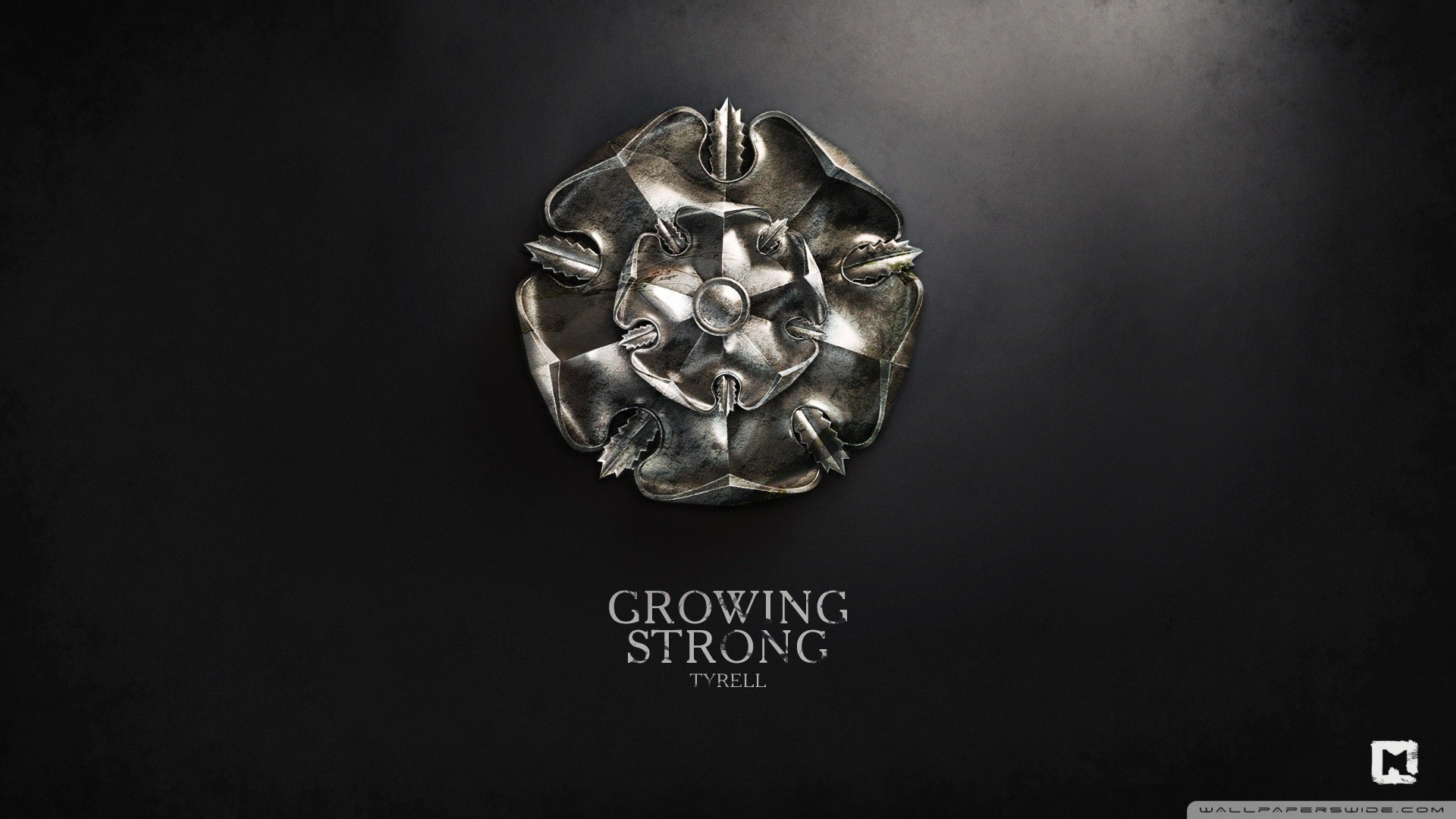 Rosa, Casa Tyrell, Growing Strong, Il Trono di Spade, Metallo, Full HD, sfondo Windows 11