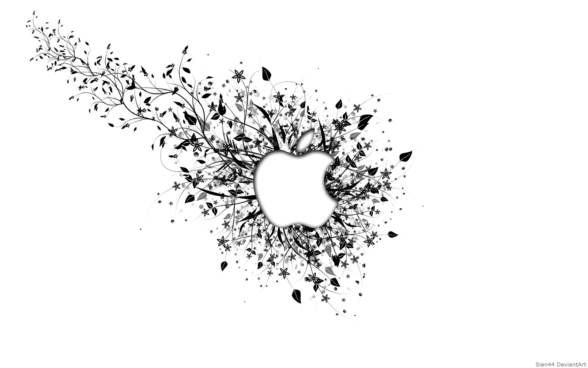 Logo Apple, Motivo floreale, Bianco e nero, sfondo per MacBook