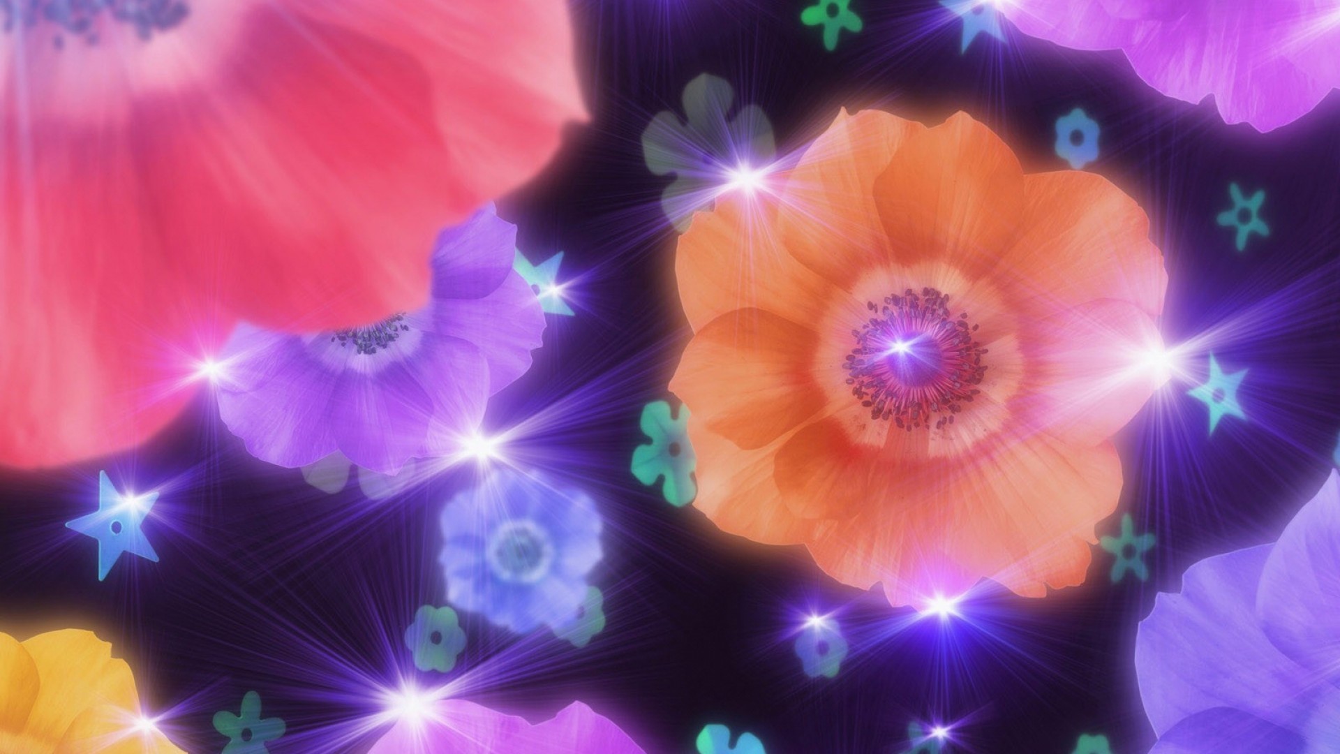 Fiori, Scintille, Stelle, Viola, 16:9 Full HD, wallpaper widescreen