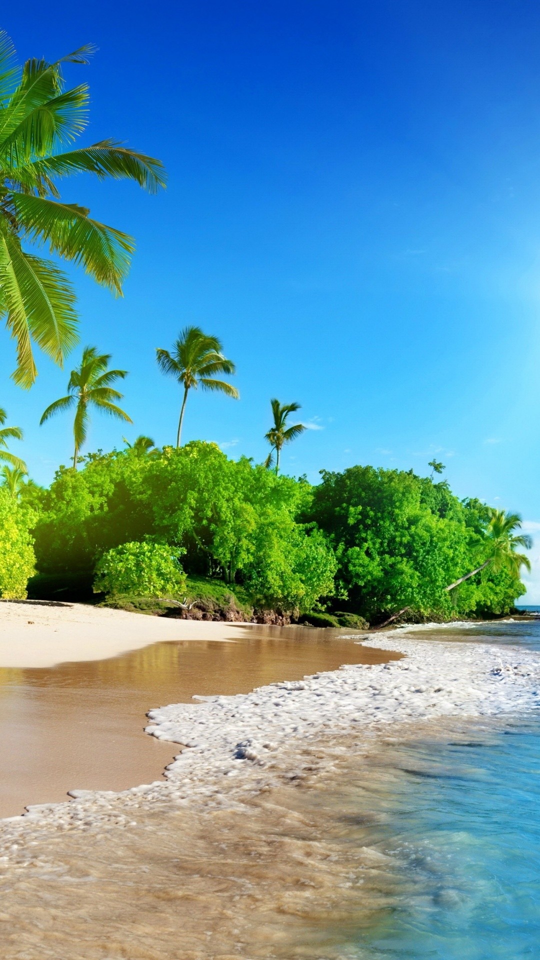 Spiaggia tropicale, Palme, Mare, Cielo azzurro, Full HD, sfondo per iPhone e Android