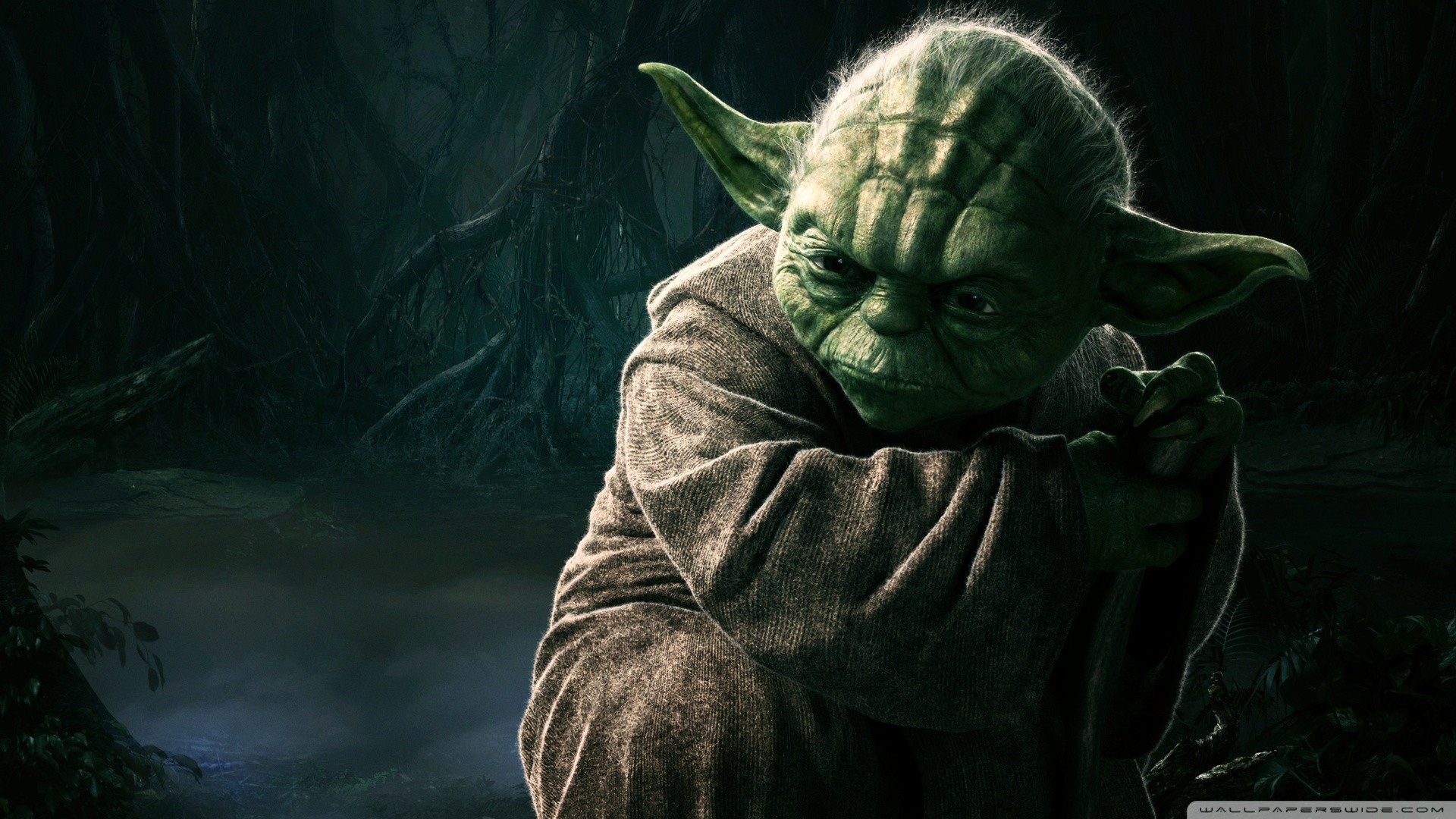 Yoda, Dagobah, Star Wars, Maestro Jedi, Palude, Full HD, sfondo per PC e portatile