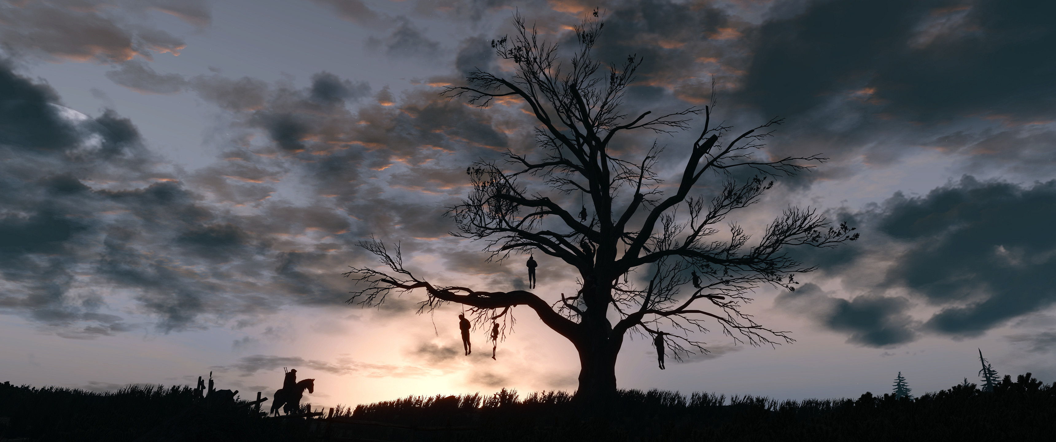 The Witcher 3: Wild Hunt, Albero degli impiccati, Silhouette, Tramonto, sfondo 21:9 2K