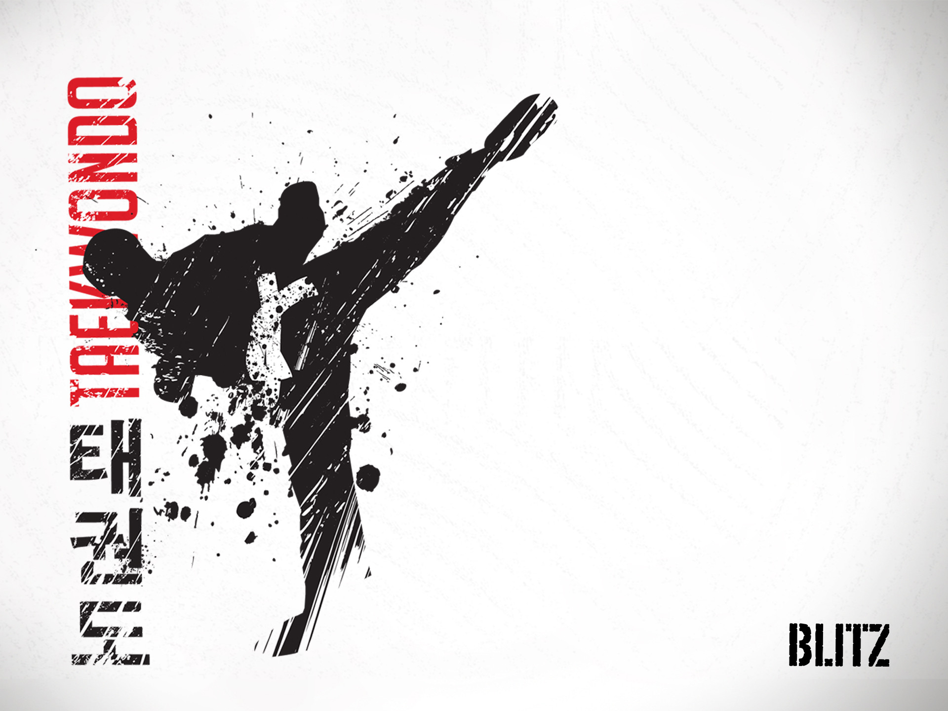 Taekwondo, 태권도, Blitz, Calcio alto, Schizzi di inchiostro, Full HD, schermata di blocco iPad
