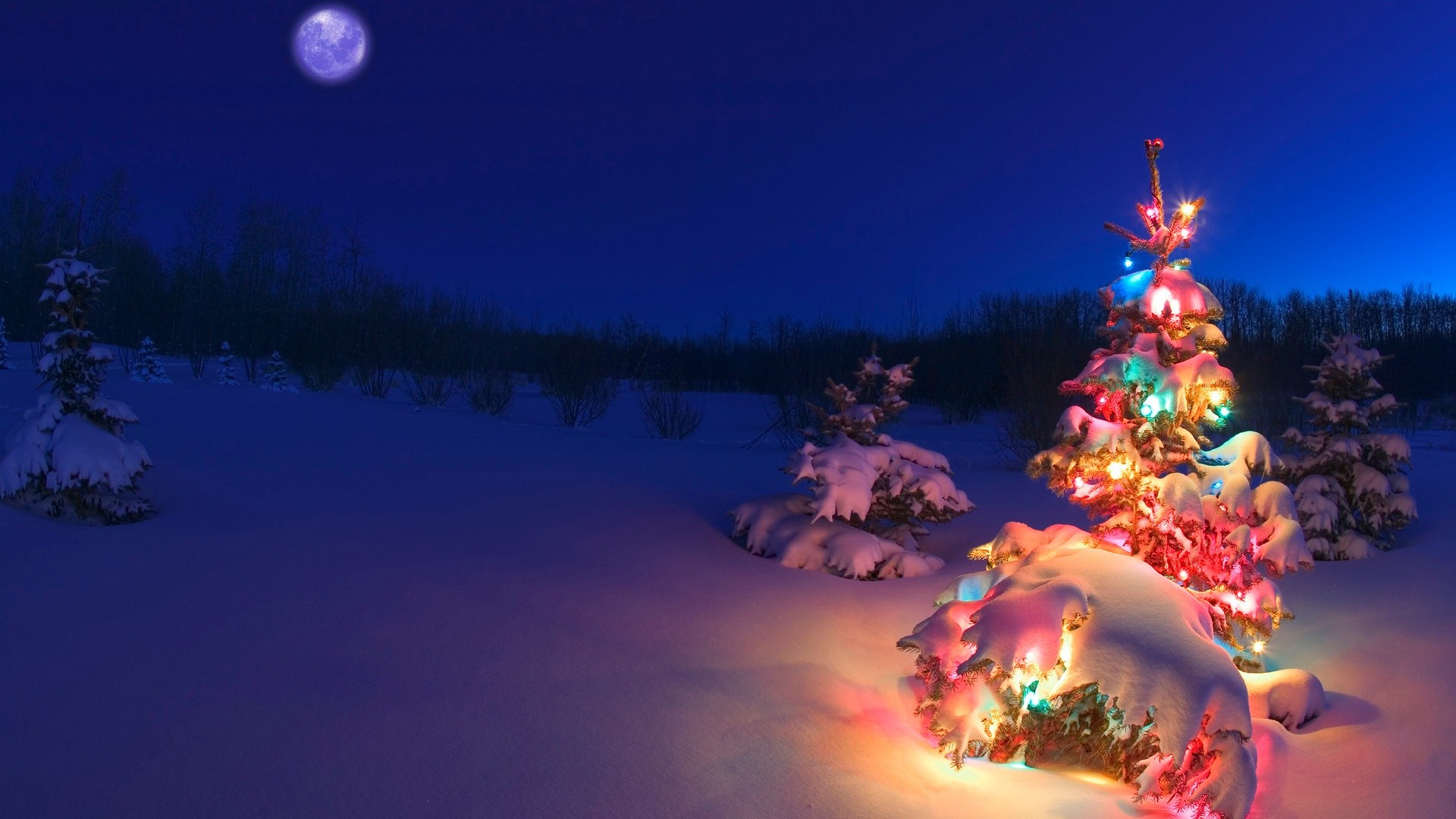 Natale, Albero di Natale, Neve, Notte, Luci colorate, Full HD, sfondo per portatile