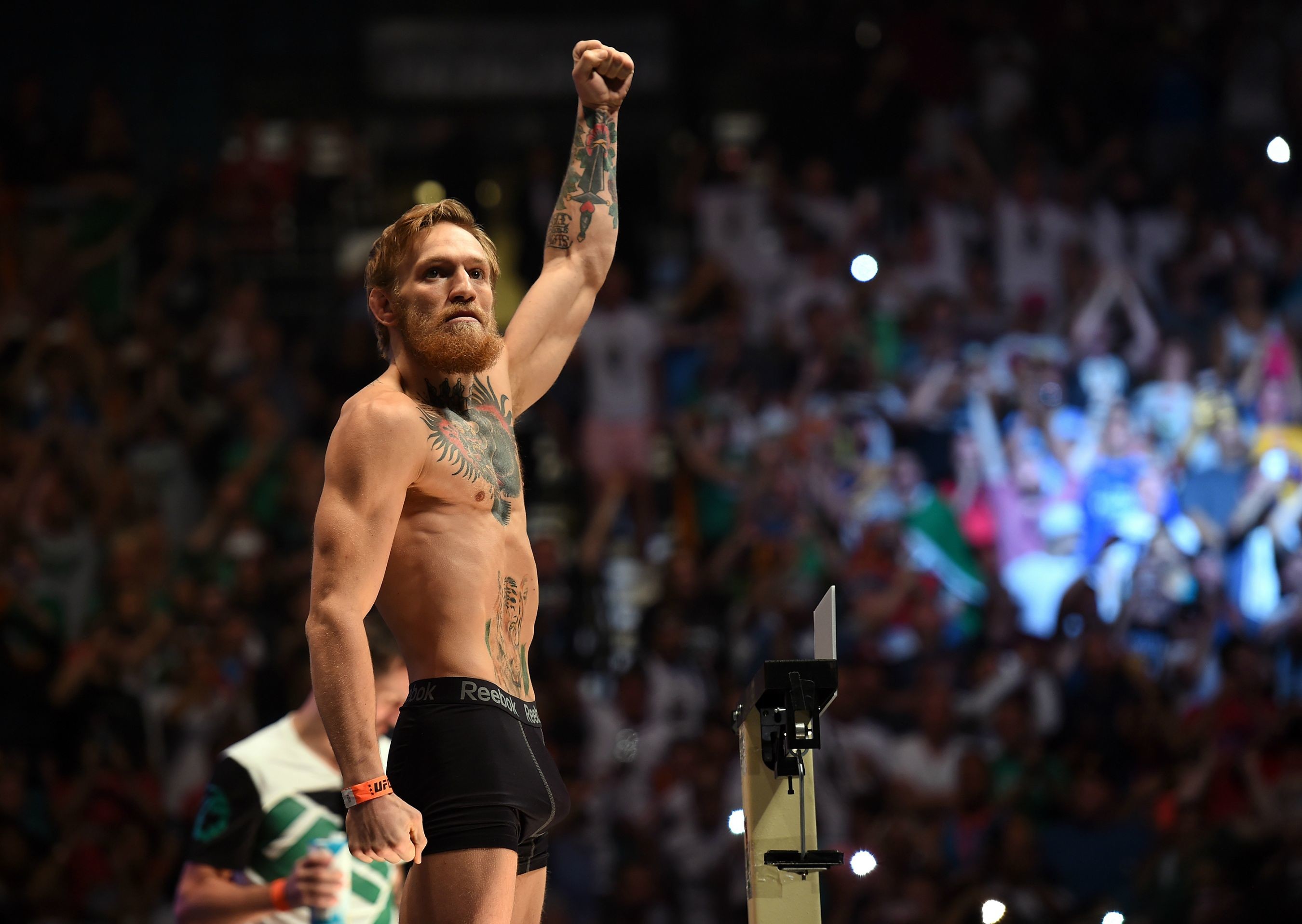 Conor McGregor, Arena, Pugno alzato, Folla, 2K, wallpaper per computer