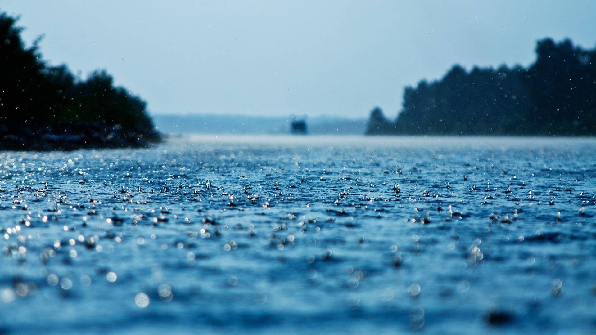 Pioggia, Lago, Gocce, Primo piano, 16:9 Full HD, sfondo widescreen