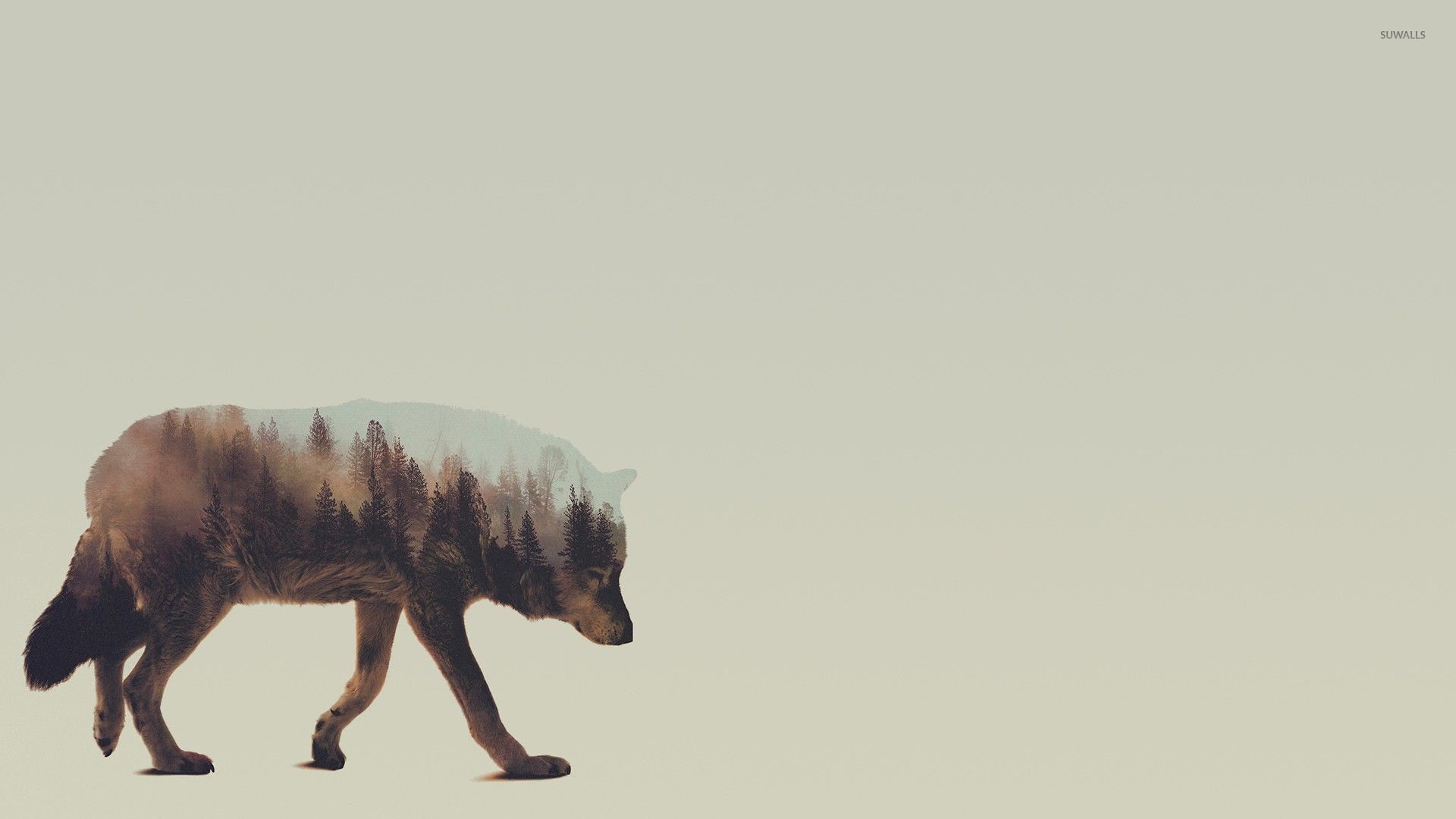 Lupo, Doppia esposizione, Foresta, Minimalismo, 16:9 Full HD, sfondo widescreen