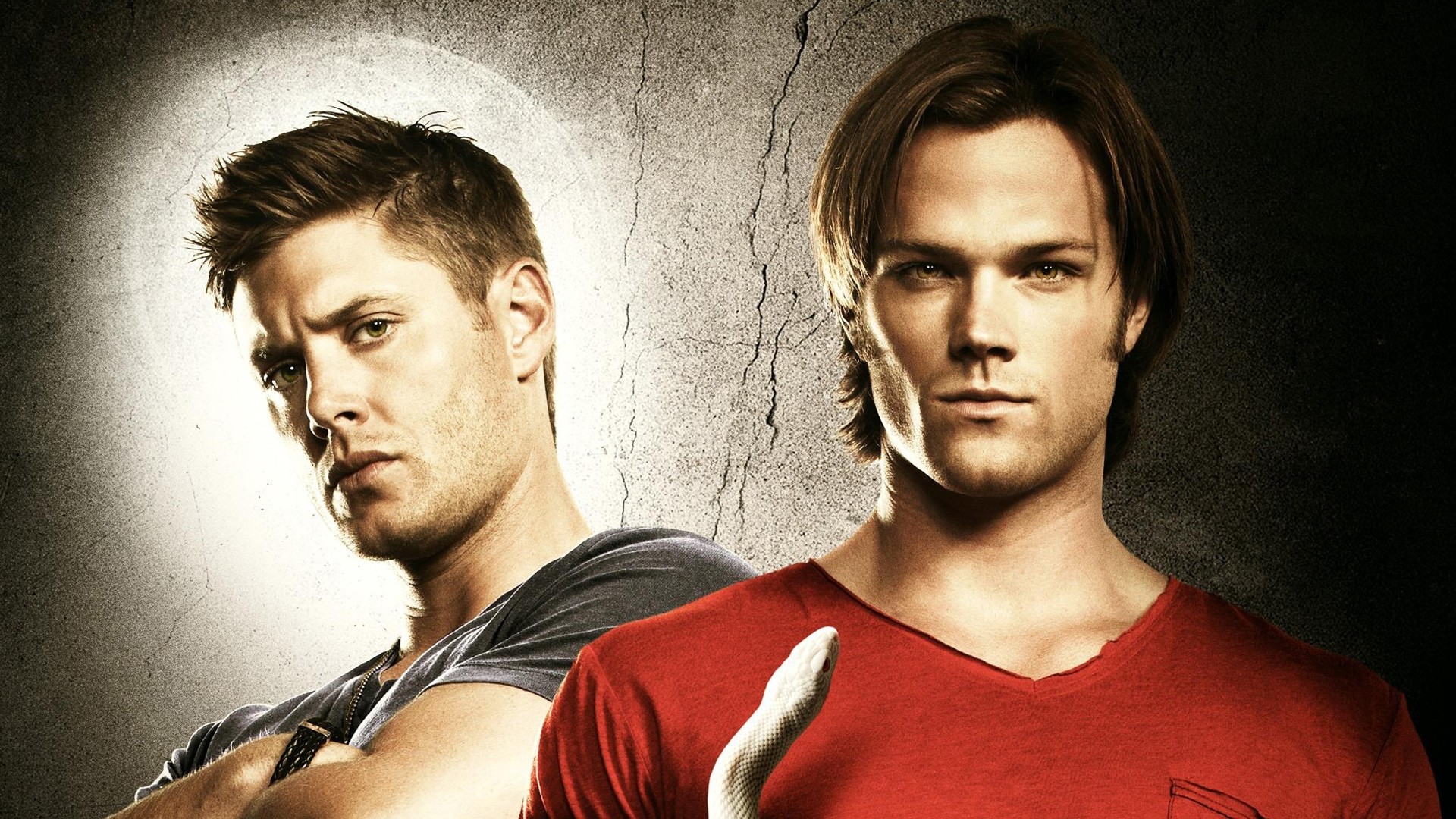 Dean Winchester, Sam Winchester, Serpente, Supernatural, Full HD, sfondo per PC