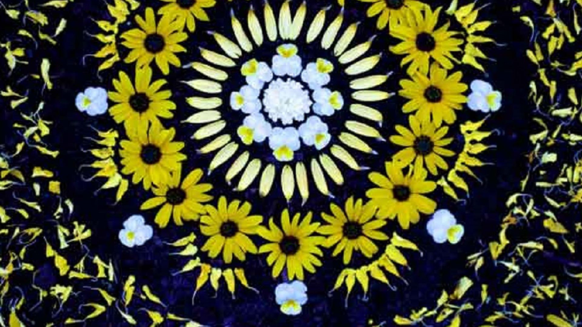 Mandala di fiori, Girasoli, Margherite, Giallo, Full HD 1080p, sfondo desktop