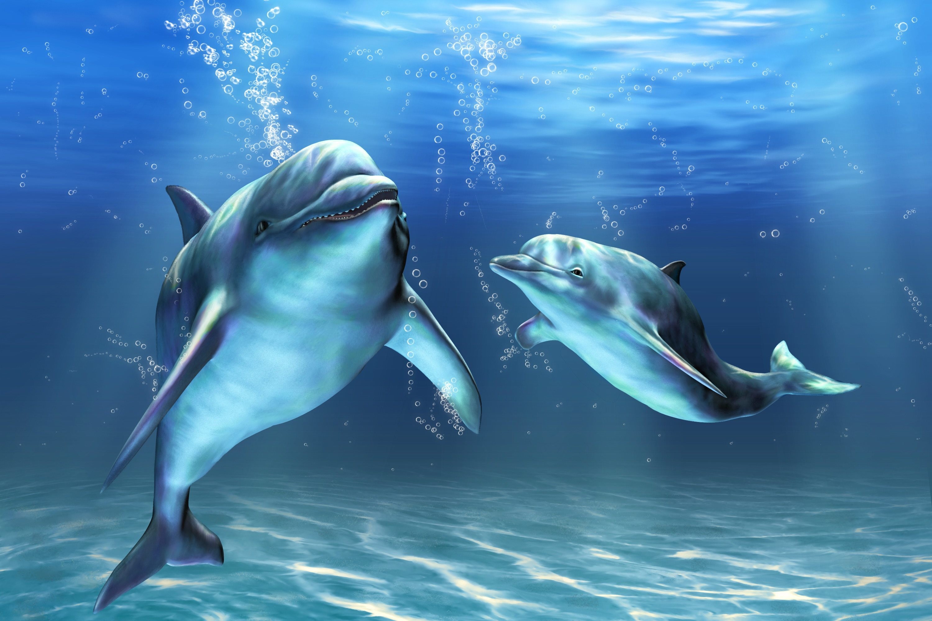 Delfini, Sott'acqua, Raggi di sole, Azzurro, 2K, sfondo per PC e portatile
