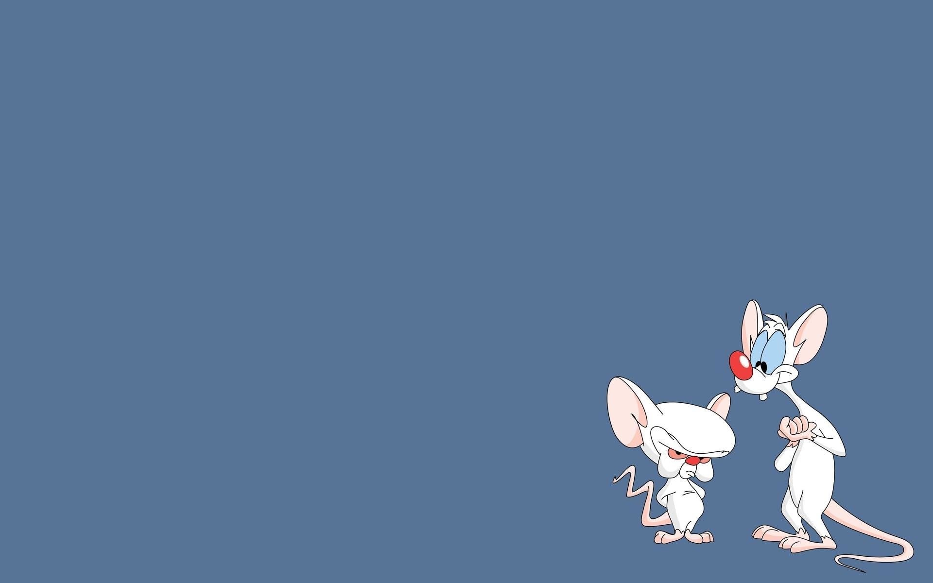 Mignolo e Prof., Prof. (Pinky and the Brain), Mignolo, Cartone animato, Sfondo blu, wallpaper desktop