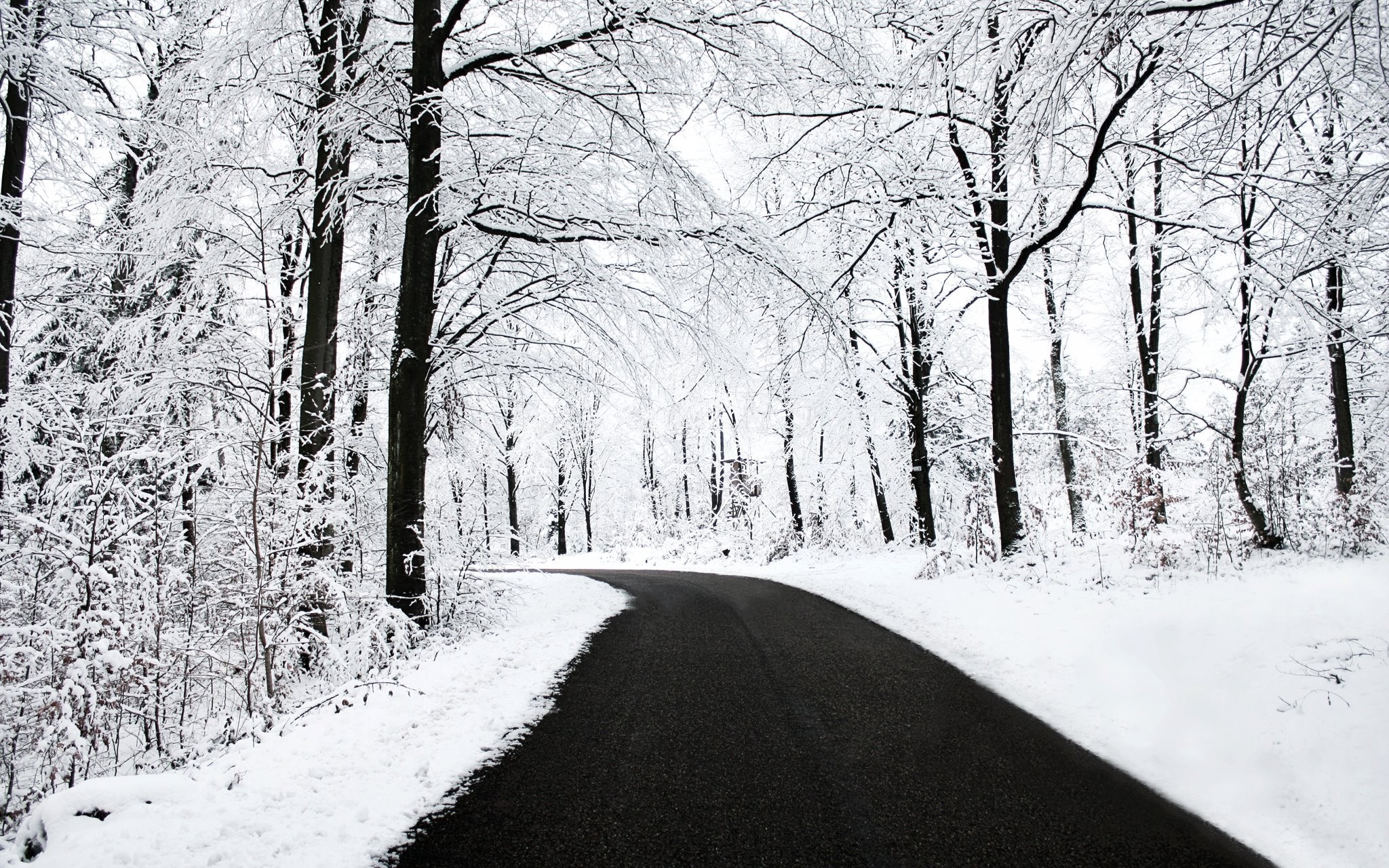 Strada, Bosco innevato, Neve, Inverno, 2048x1280, sfondo MacBook Pro