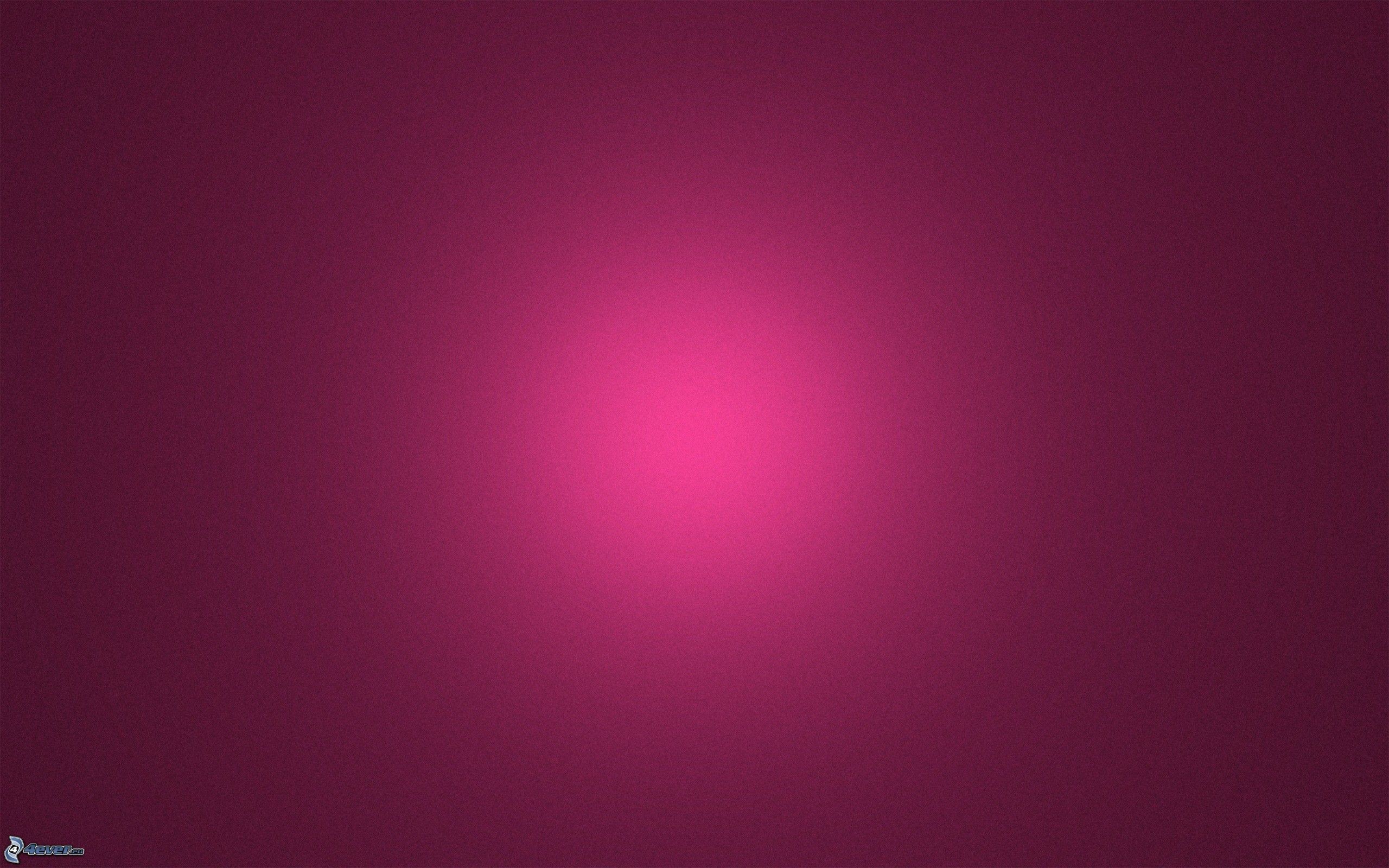 Sfumatura, Bordeaux, Rosa, Minimalista, 2K, sfondo per portatile