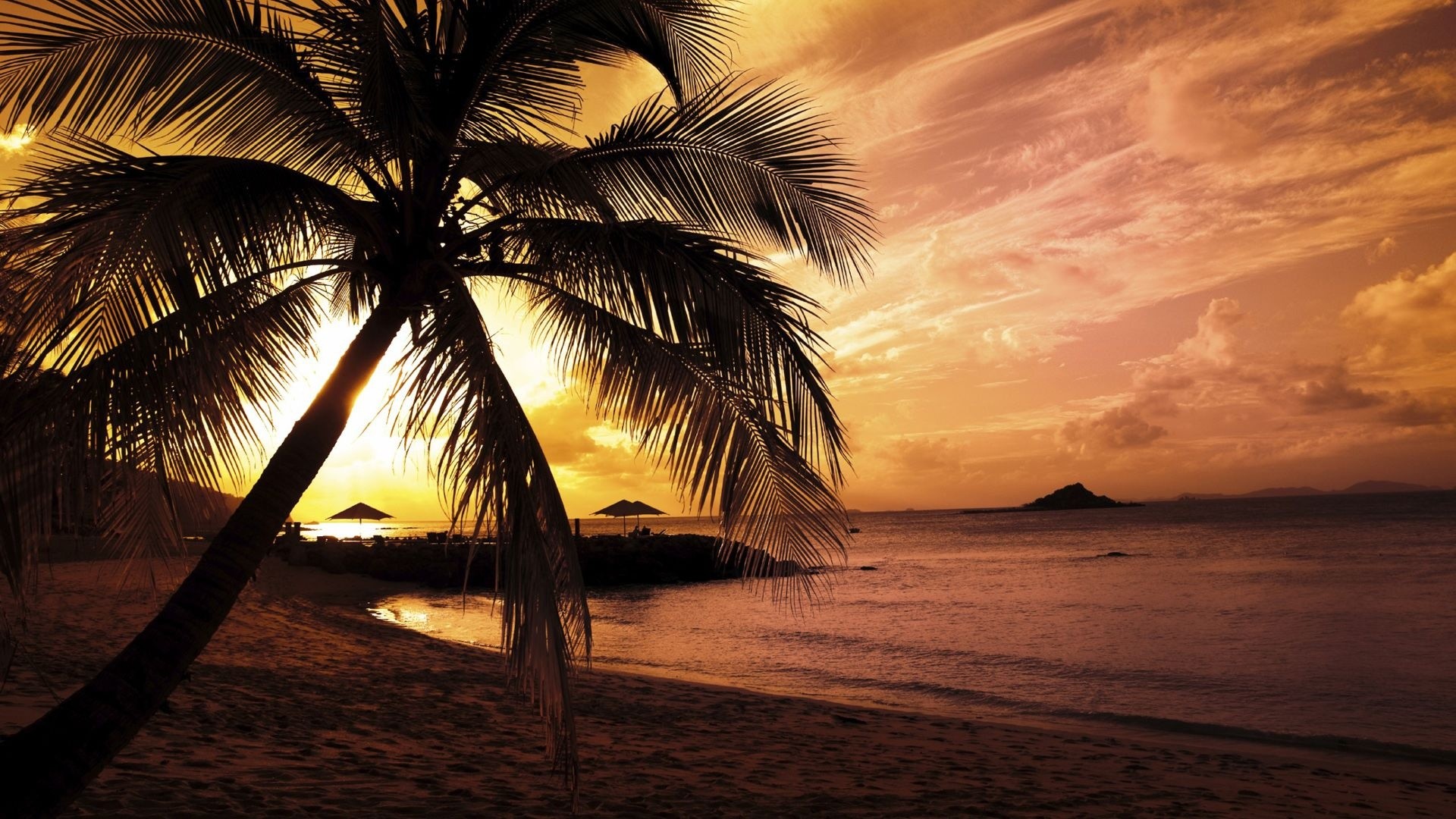 Palma, Tramonto, Silhouette, Spiaggia, Full HD, wallpaper per portatile