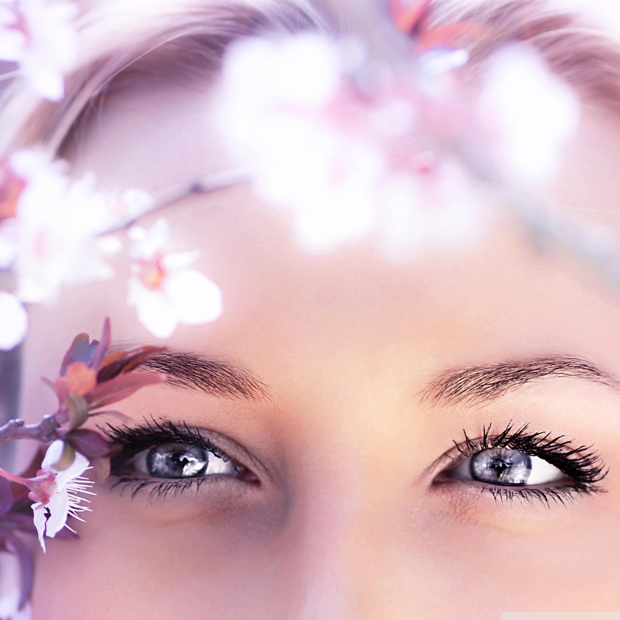 Volto di donna, Occhi azzurri, Fiori di ciliegio, Primo piano, Toni pastello, sfondo per tablet