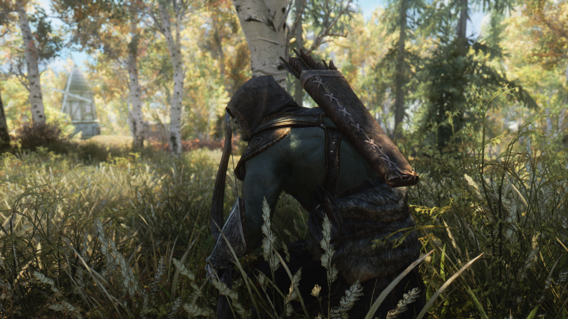 The Elder Scrolls V: Skyrim, Guerriero, Foresta di betulle, Erba, sfondo Full HD per computer