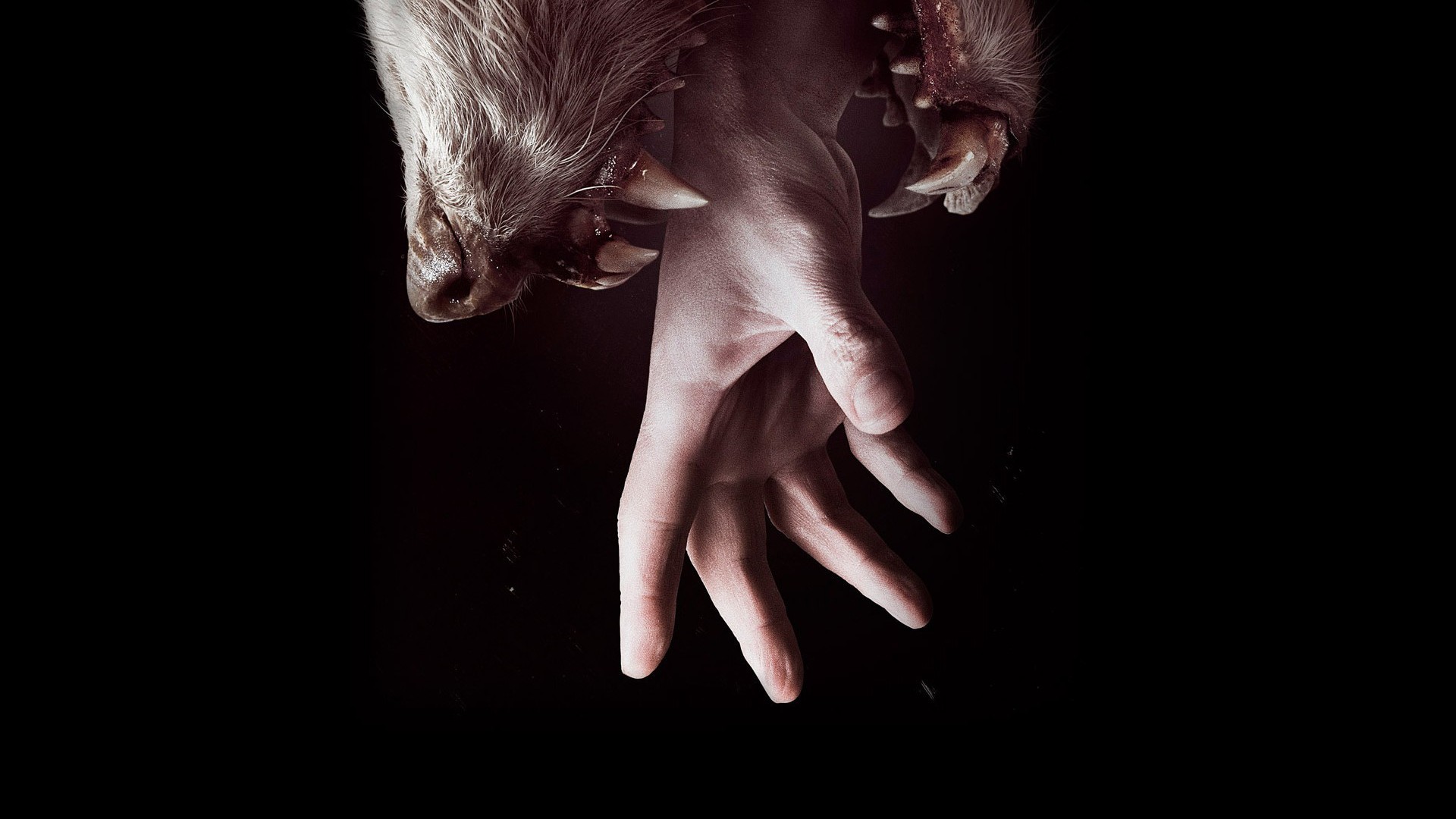 Mano, Fili, Burattinaio, Sfondo nero, Full HD, wallpaper per PC