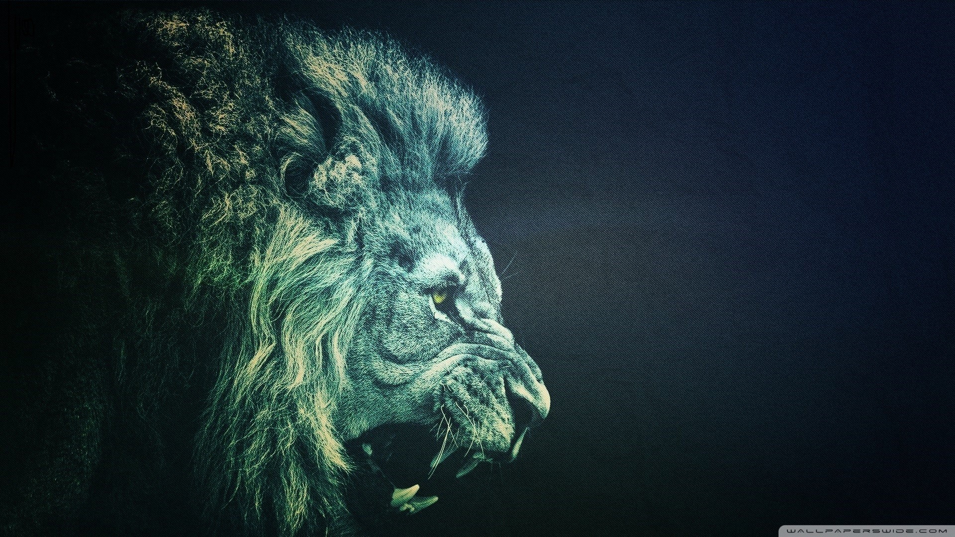 Leone, Ruggito, Toni blu, Arte digitale, Full HD, sfondo per portatile