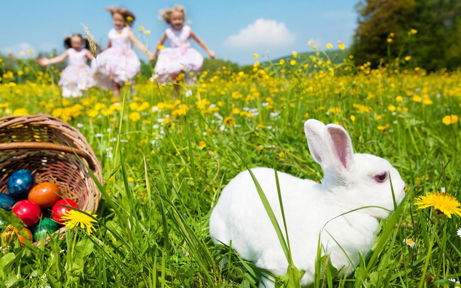 Coniglio bianco, Bambine, Prato fiorito, Uova di Pasqua, 1920x1200, sfondo per PC