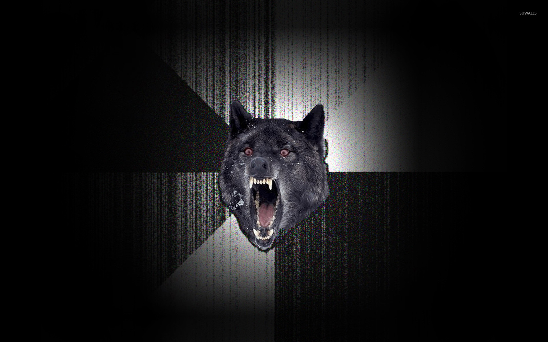 Insanity Wolf, Meme, Lupo nero, Ringhio, 1920x1200, sfondo MacBook Pro