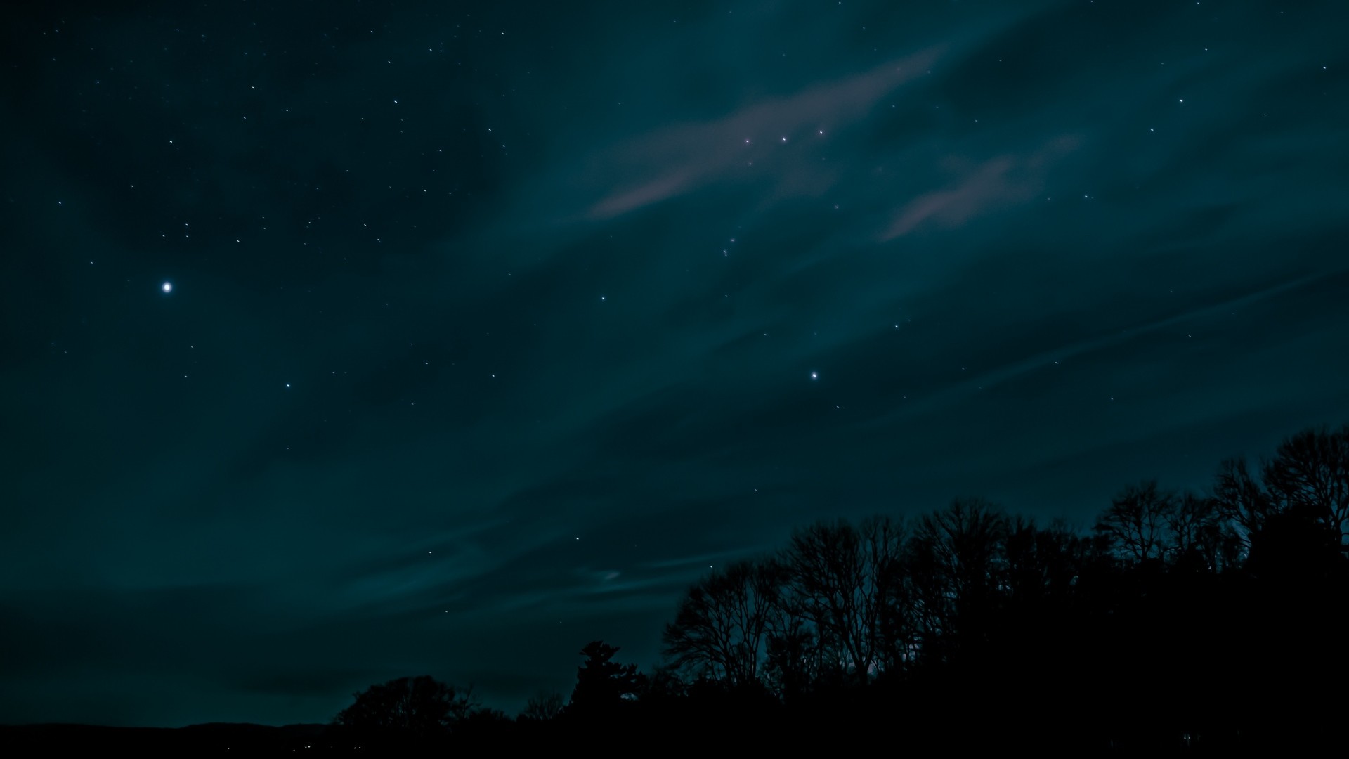Cielo stellato, Aurora boreale, Alberi, Verde, 1920x1080, immagine di sfondo