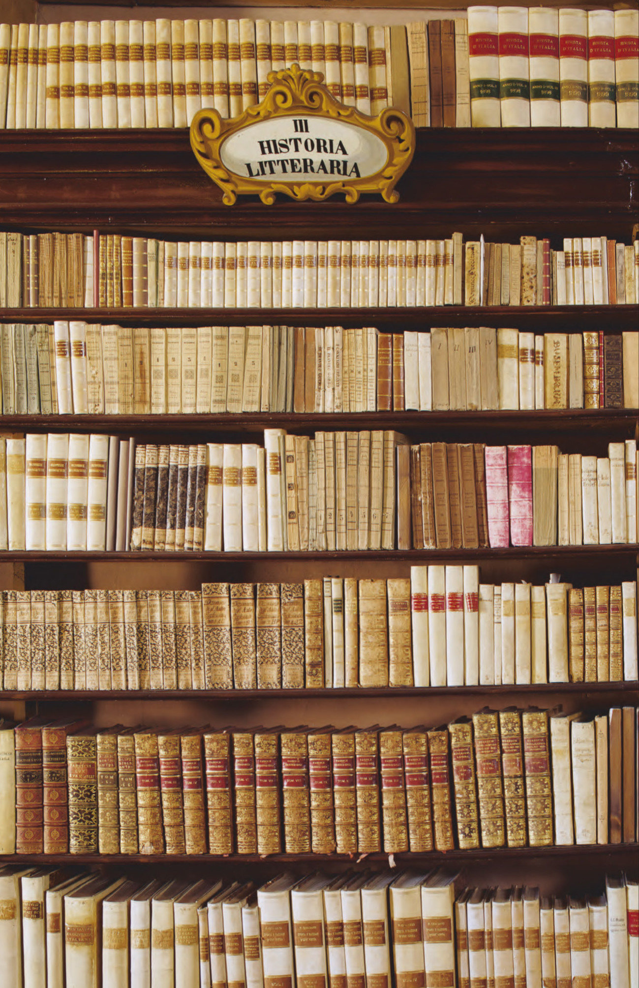 Libreria antiquaria, Scaffali, Libri antichi, Full HD, sfondo per iPhone e Android