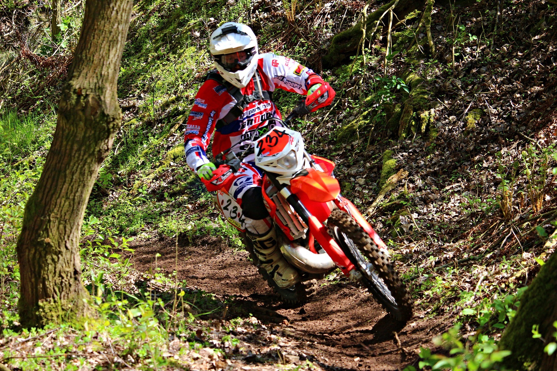 Enduro, Bosco, Fuoristrada, Pilota, Full HD, sfondo per PC