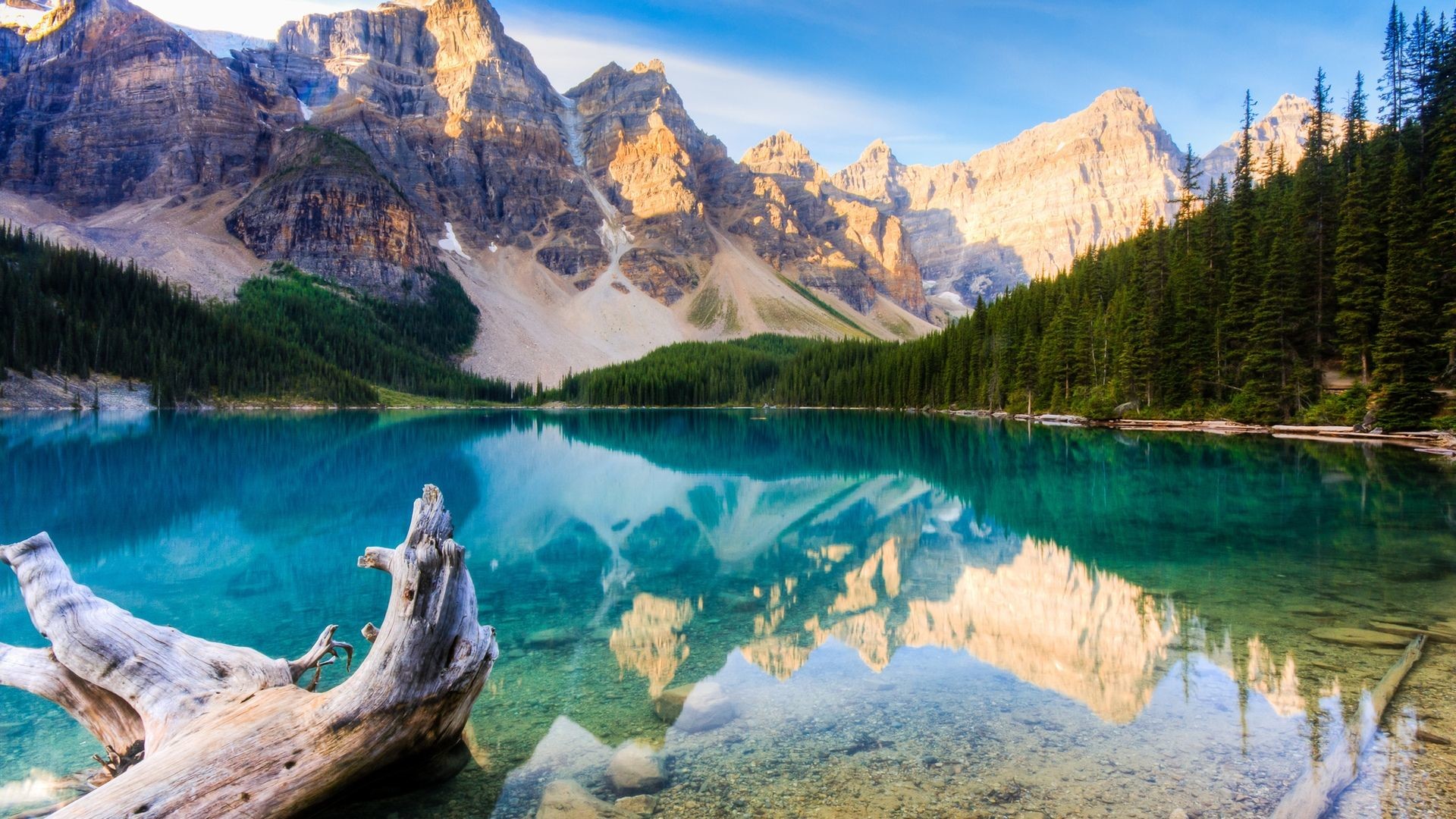 Lago Moraine, Canada, Tronco, Montagne, Full HD, wallpaper per desktop