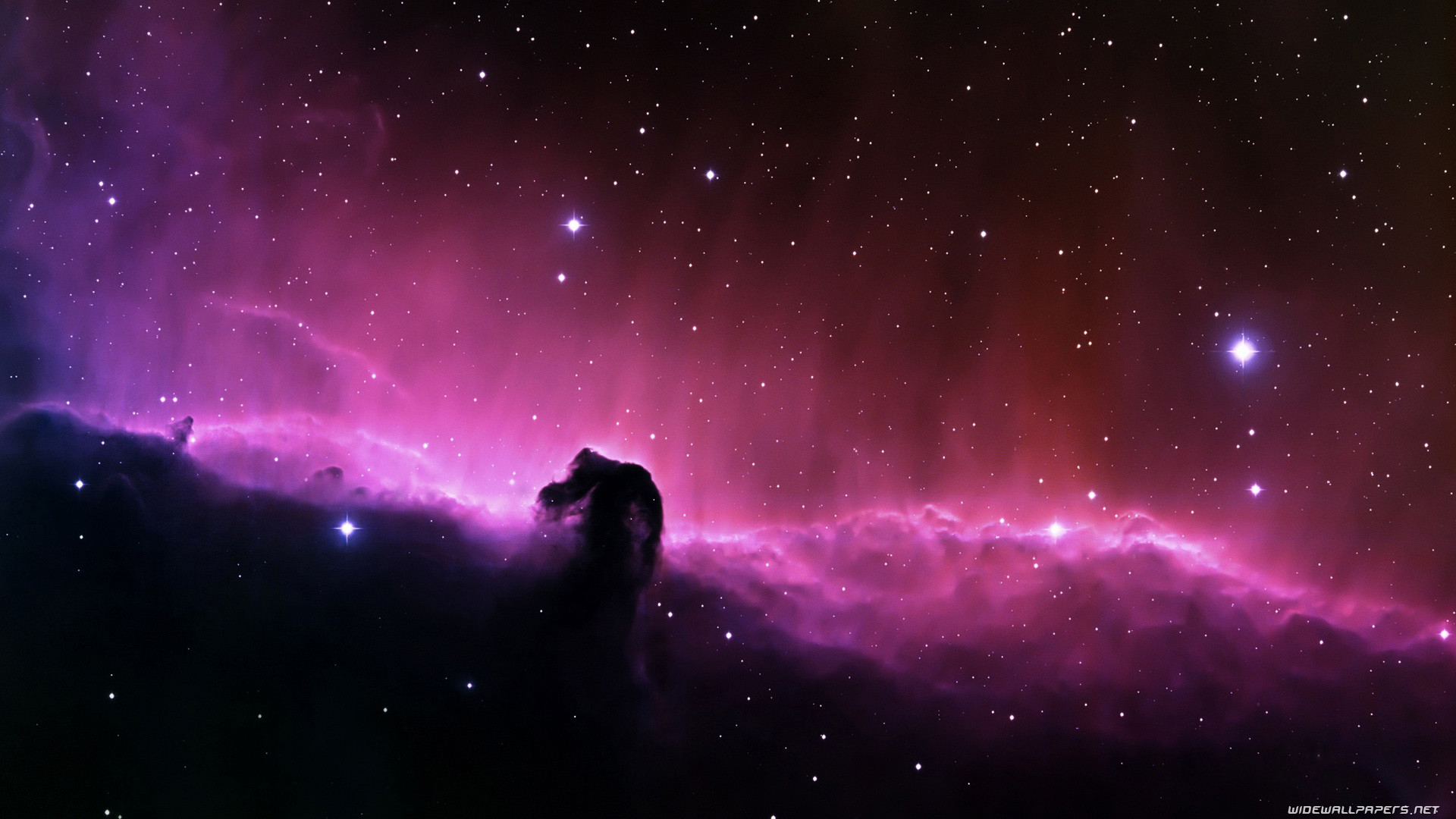Nebulosa Testa di Cavallo, Nebulosa, Rosa, Stelle, Full HD, sfondo per PC e portatile