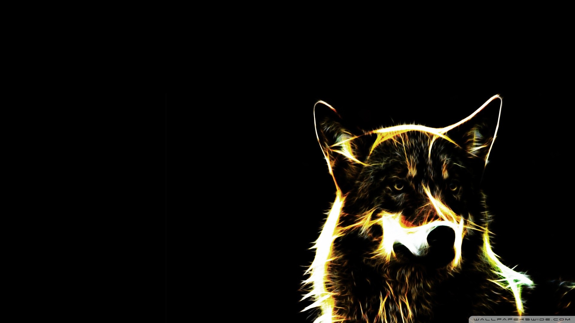 Lupo, Contorno luminoso, Sfondo nero, Minimalista, Full HD, wallpaper per portatile