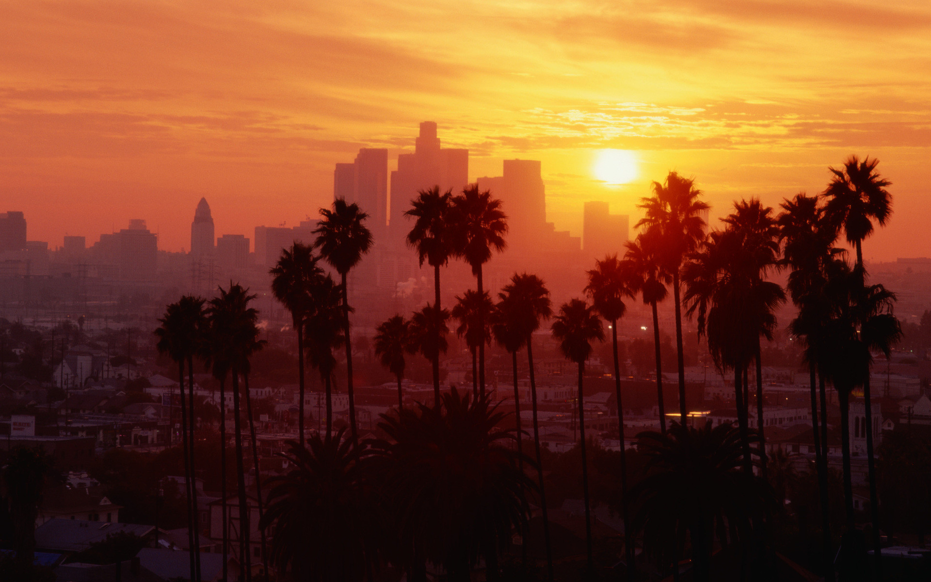 Los Angeles, Palme, Tramonto, Skyline, Arancione, Full HD, sfondo per PC