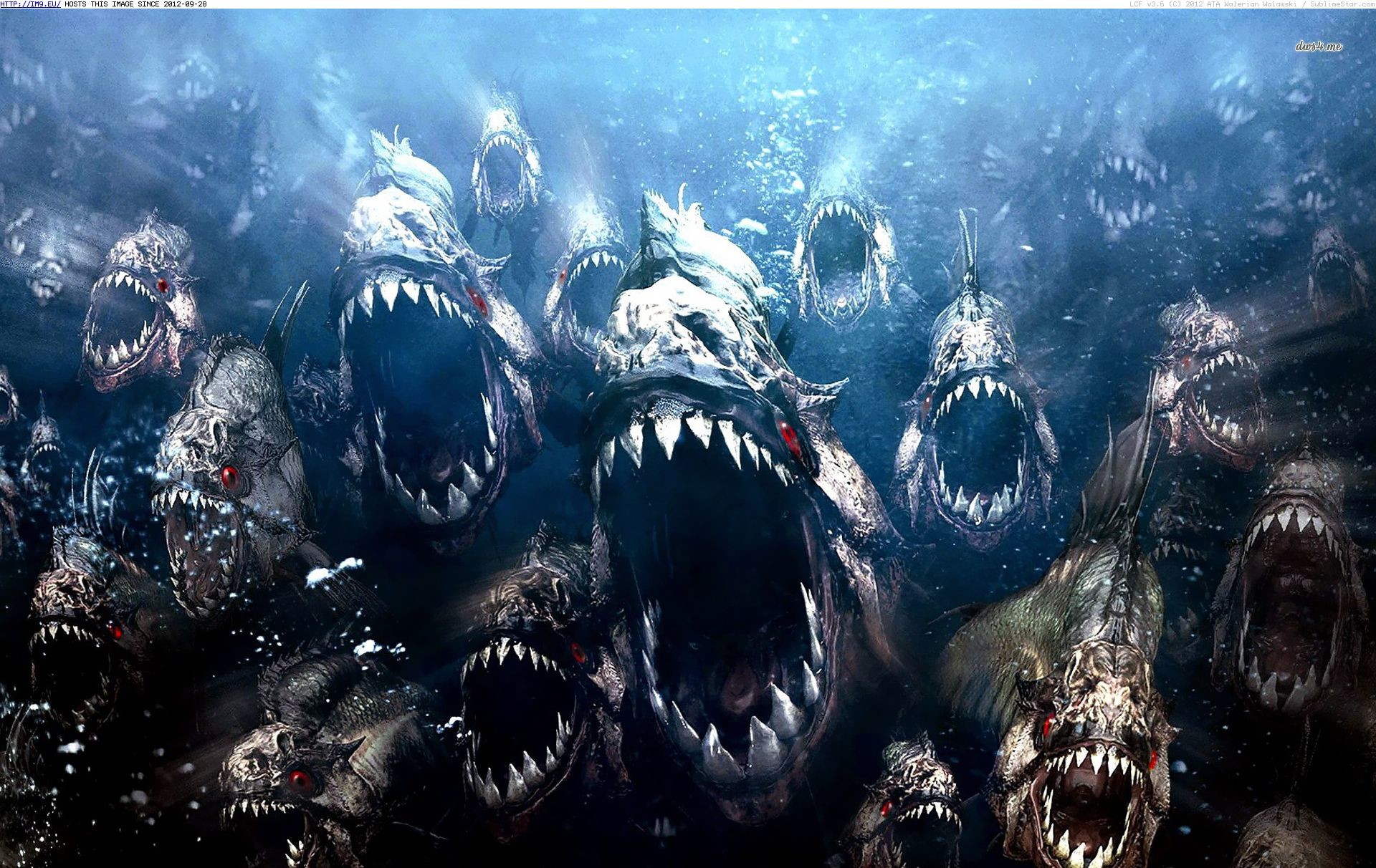 Piranha 3D, Piranha, Sott'acqua, Horror, 1920x1212, sfondo MacBook Pro