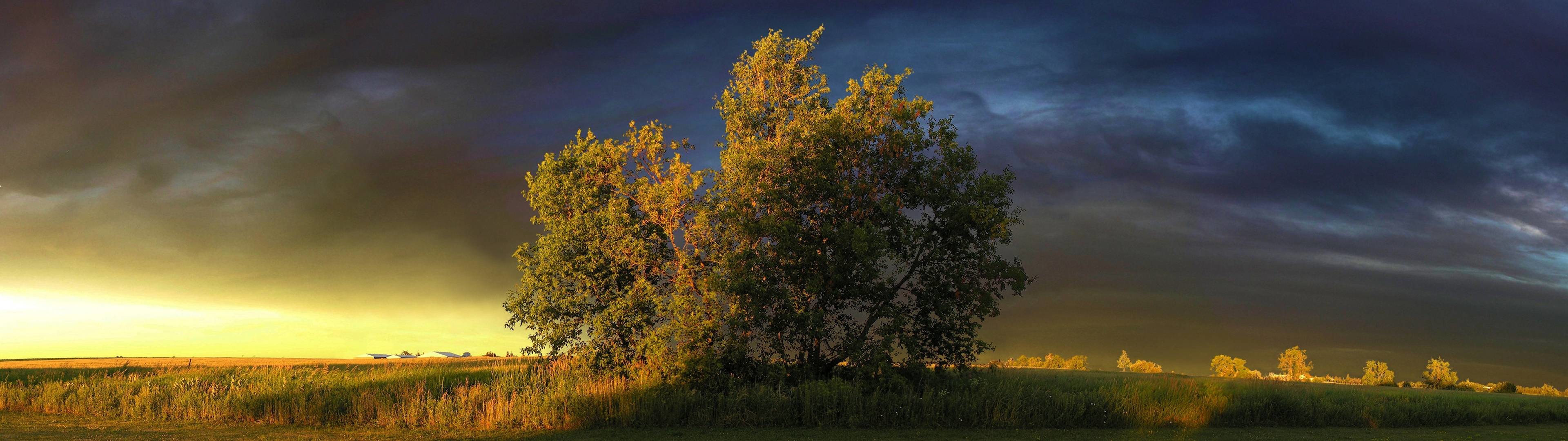 Albero, Prateria, Tramonto, Nuvole, Panorama, doppio schermo, sfondo Full HD