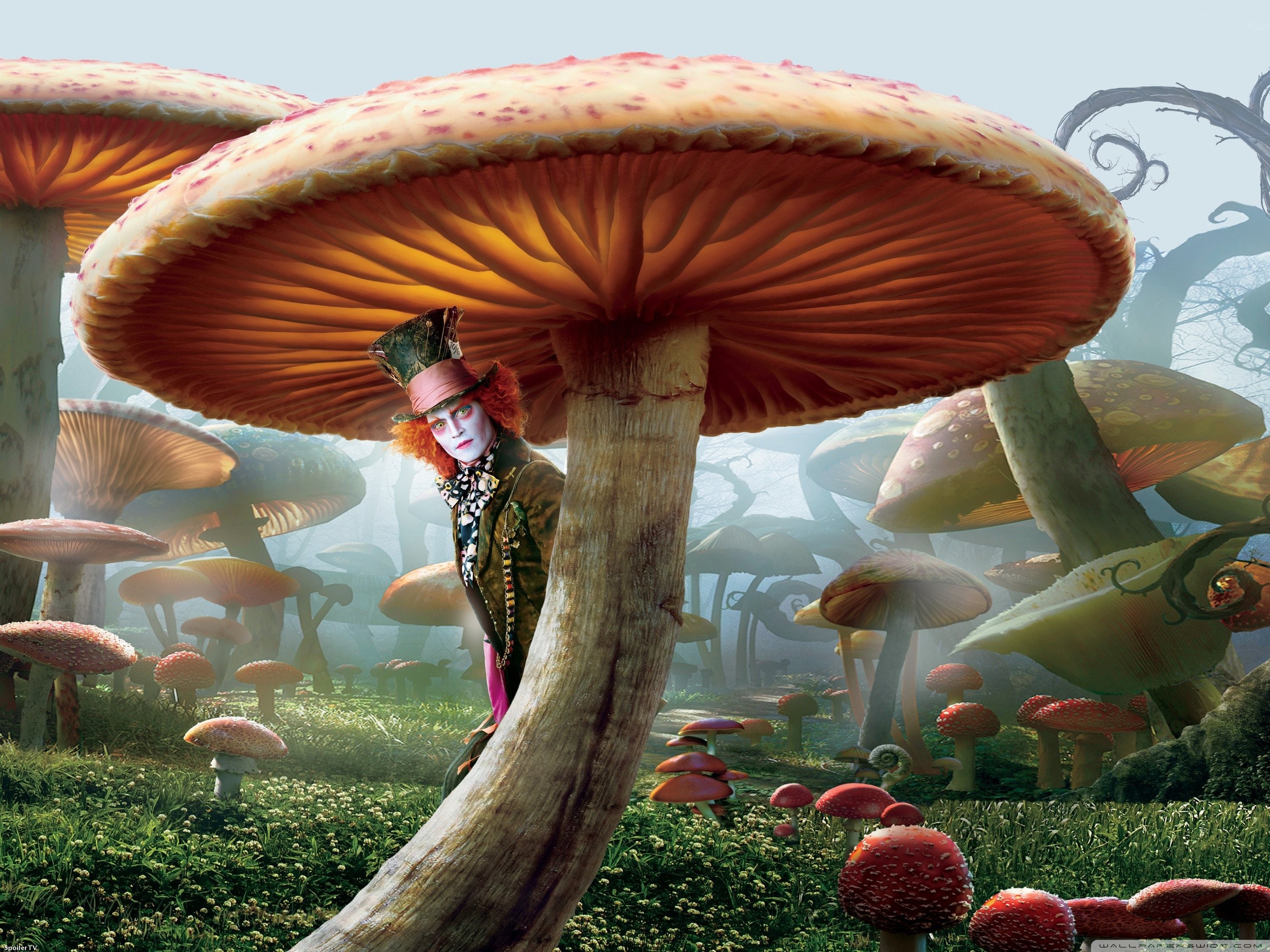 Cappellaio Matto, Johnny Depp, Funghi giganti, Alice in Wonderland (2010), sfondo 2K per tablet