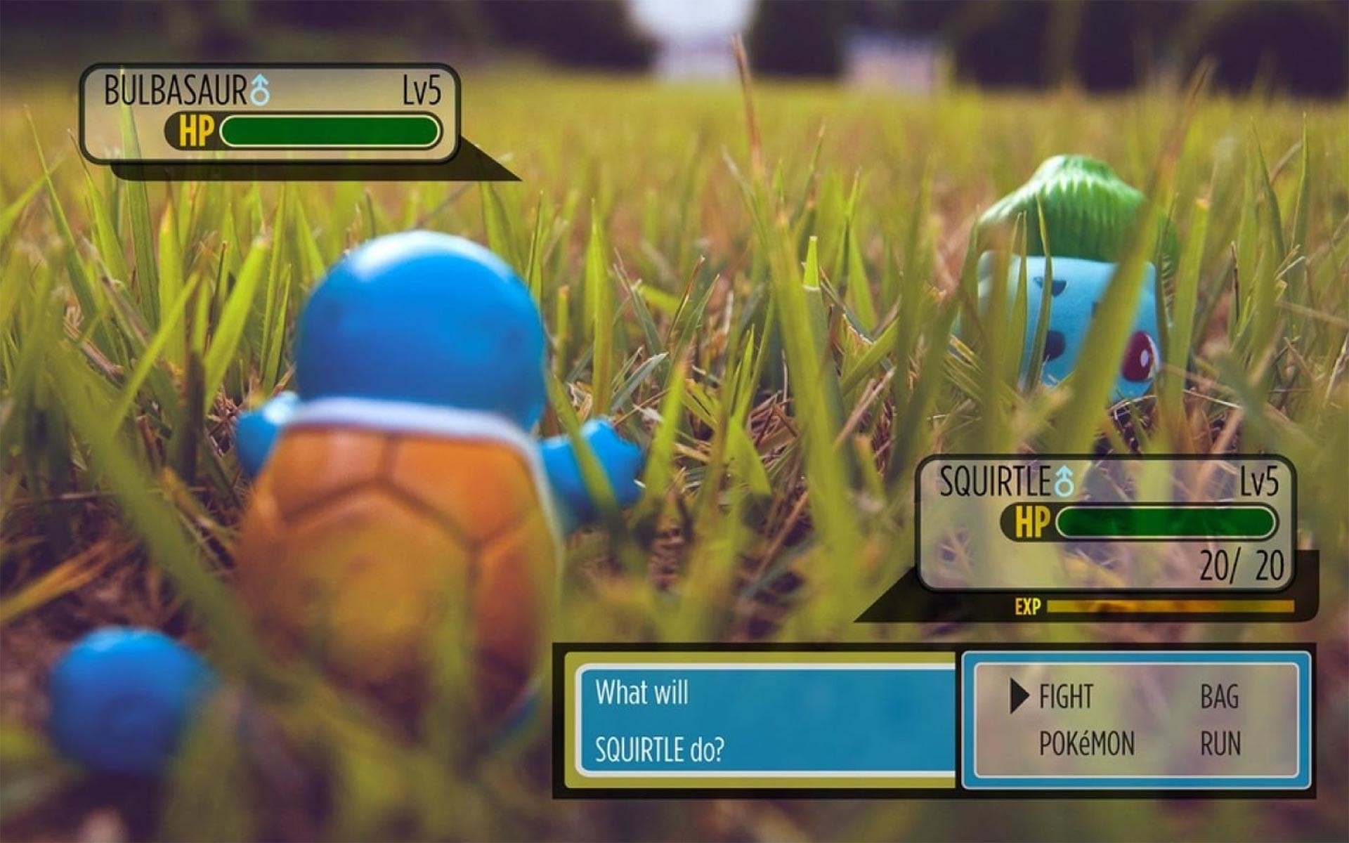 Squirtle, Bulbasaur, Pokémon, Lotta, Erba, 1920x1200, immagine di sfondo