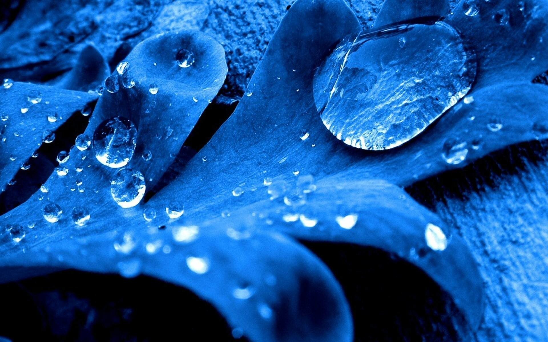 Gocce d'acqua, Foglia, Blu, Macro, 1920x1200, sfondo MacBook Pro