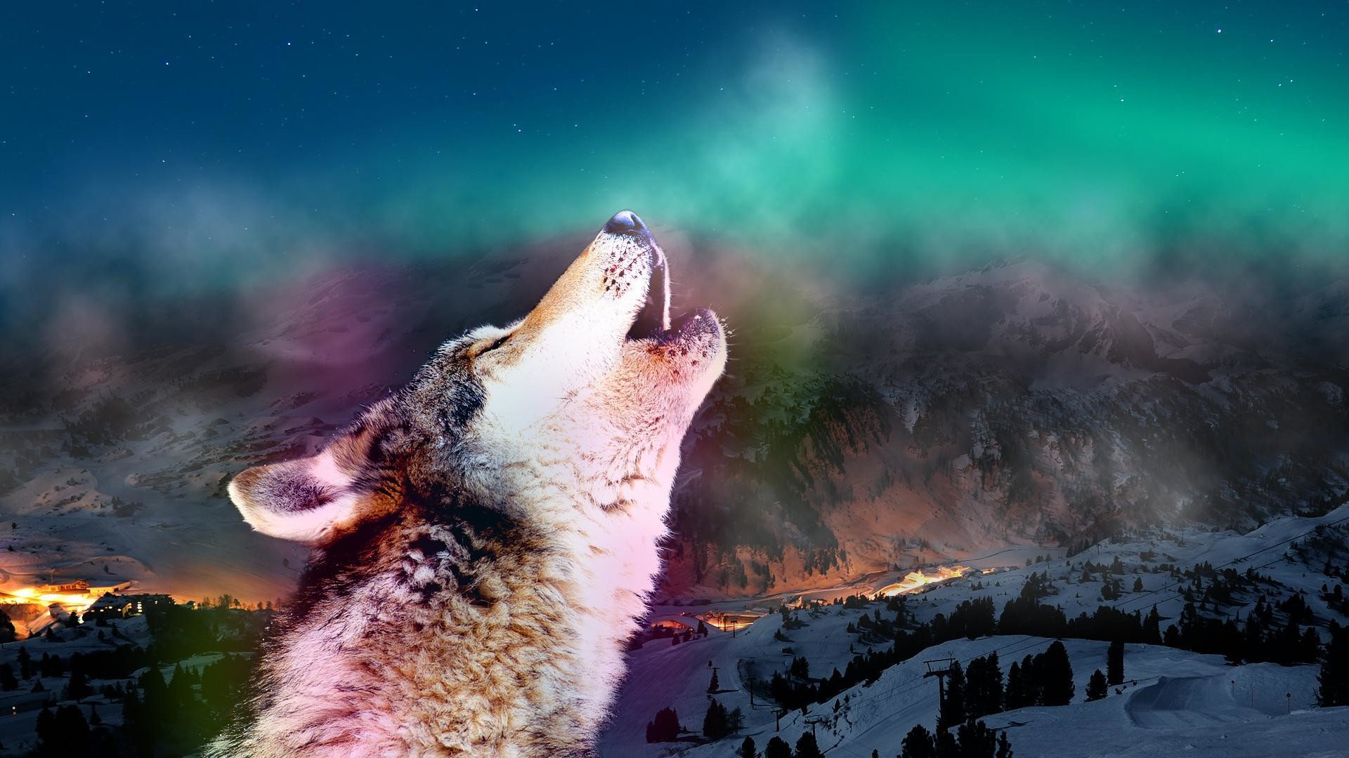 Lupo che ulula, Aurora boreale, Neve, Fantasy, 16:9 Full HD, wallpaper widescreen