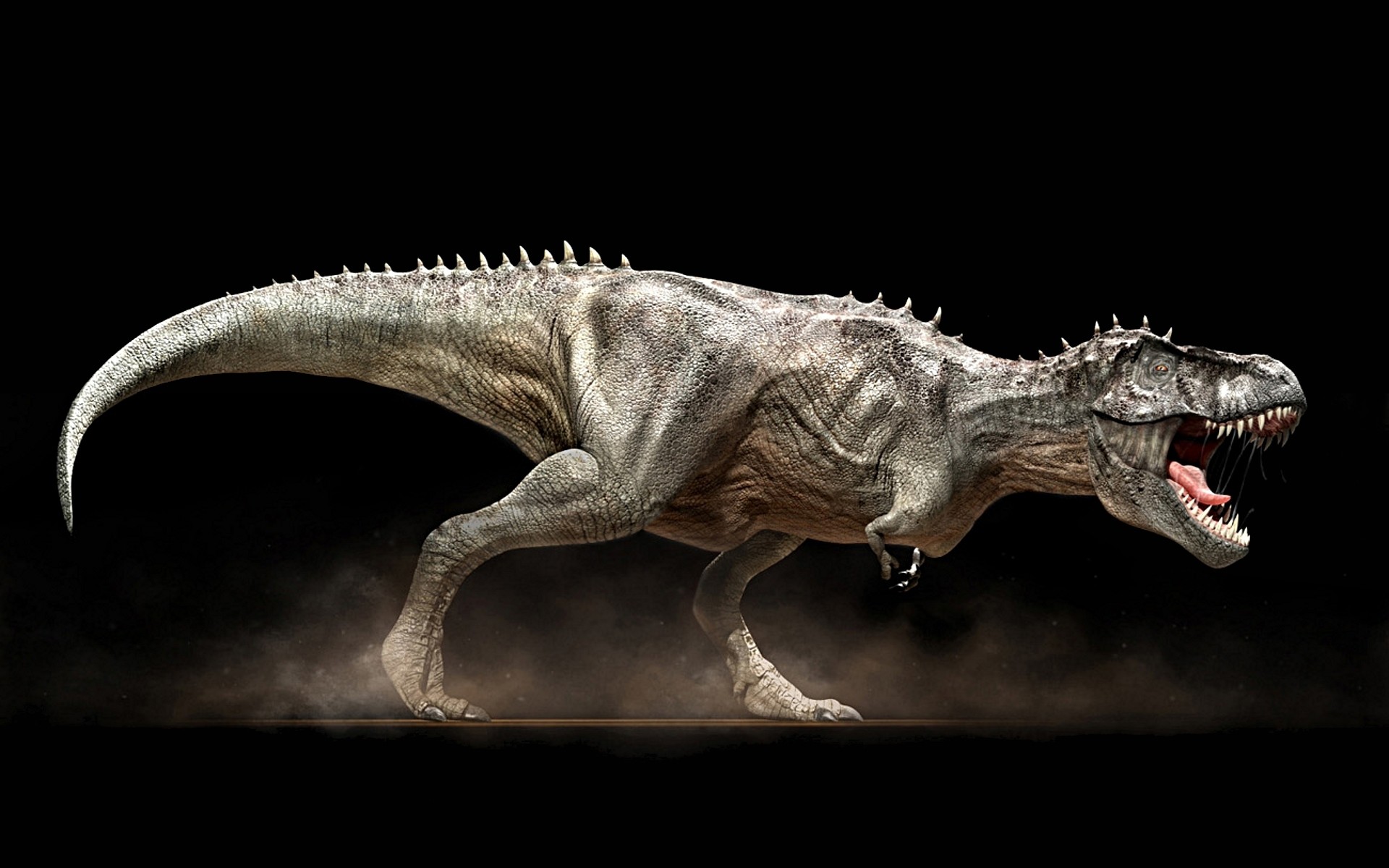 Tyrannosaurus rex, Dinosauro, Sfondo nero, 1920x1200, wallpaper desktop