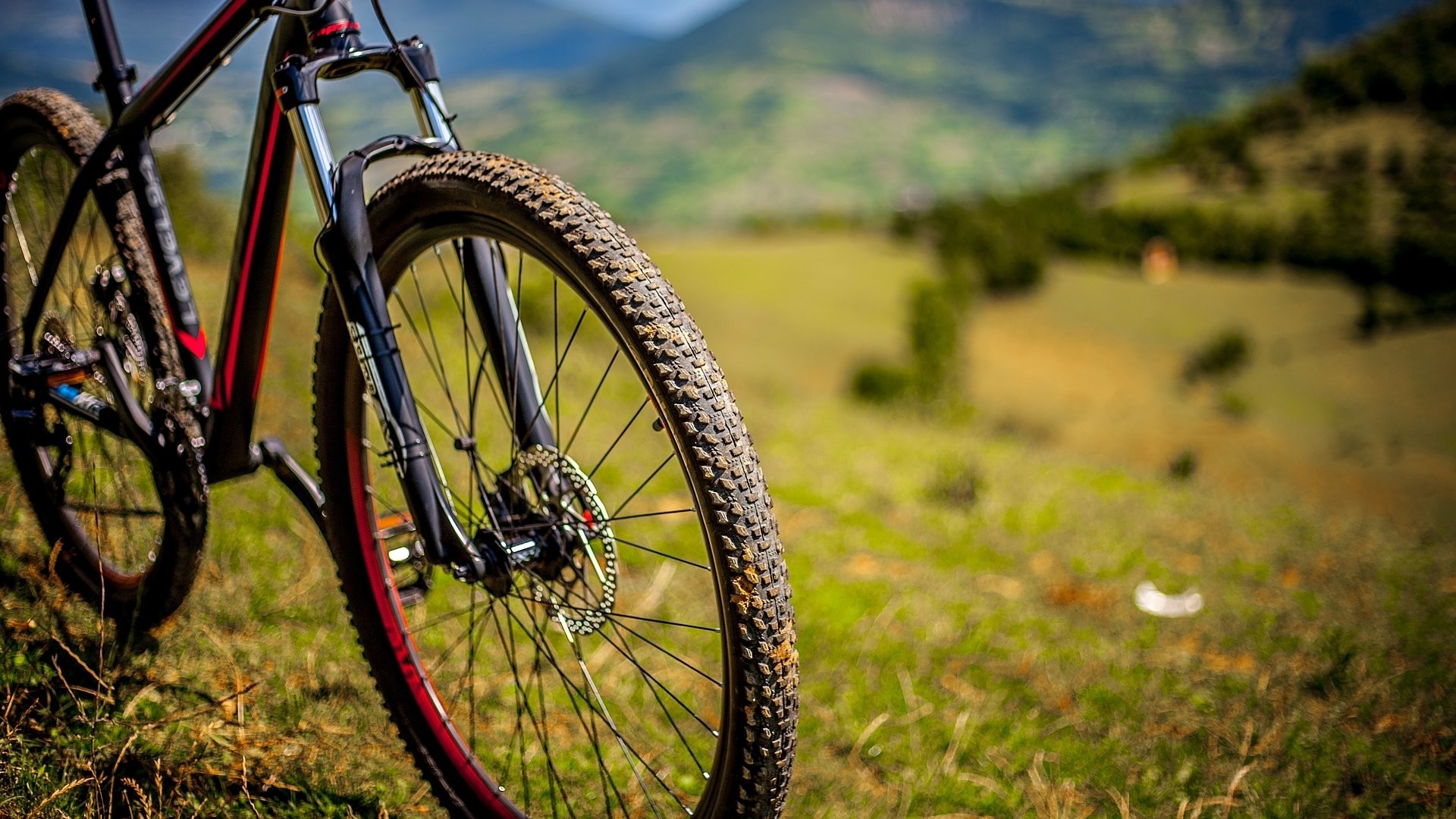 Mountain bike, Prato, Colline, Full HD, sfondo per PC