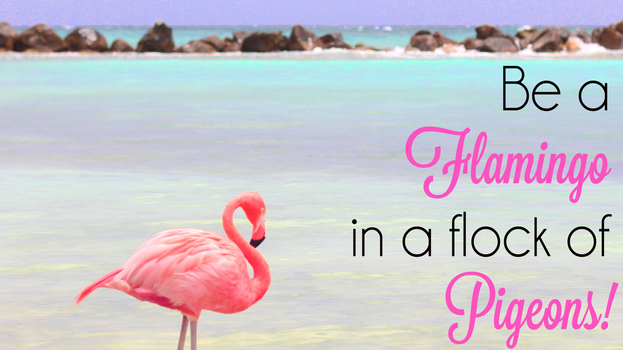 Fenicottero rosa, Citazione, Spiaggia, Mare turchese, 2K, sfondo desktop