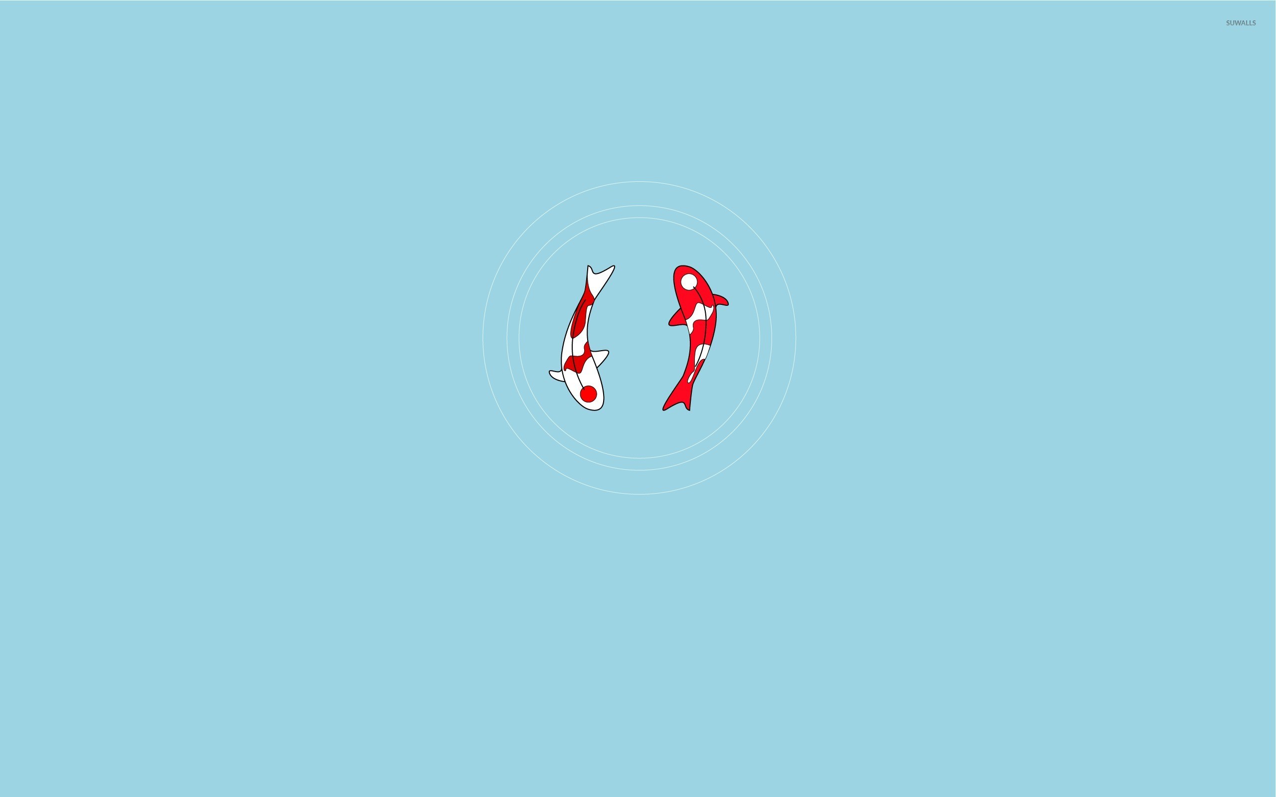 Yin e yang, Pesci koi, Minimalista, Azzurro, 16:10 2K, sfondo widescreen