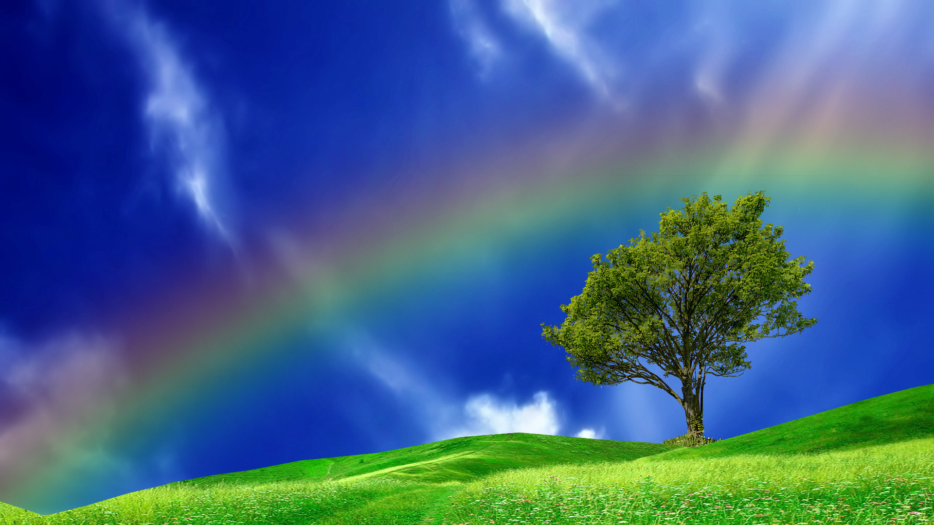 Arcobaleno, Albero, Collina, Cielo azzurro, 16:9 Full HD, sfondo widescreen