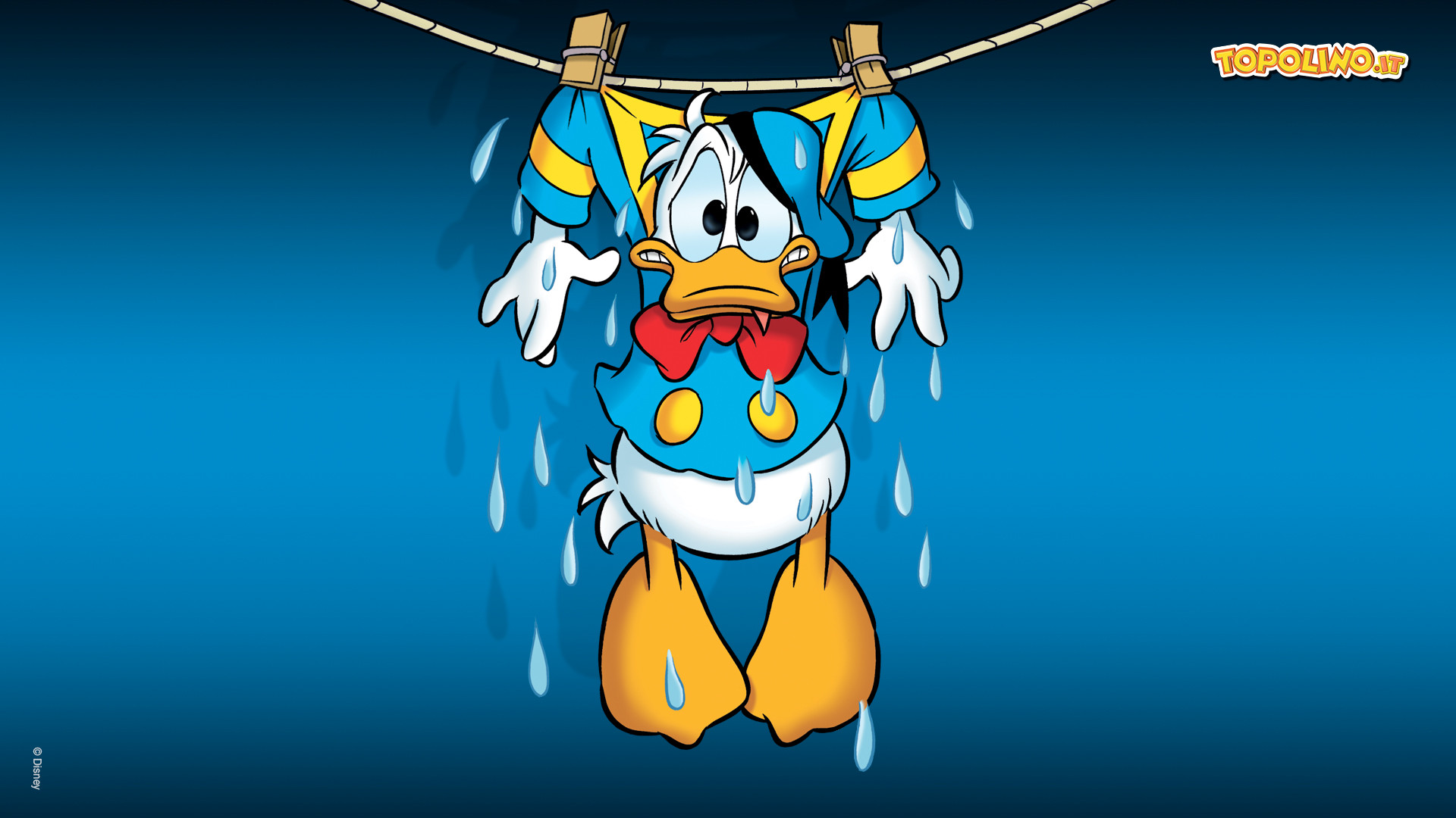 Paperino, Topolino (rivista), Bucato, Blu, Fumetto, 1920x1080, wallpaper desktop