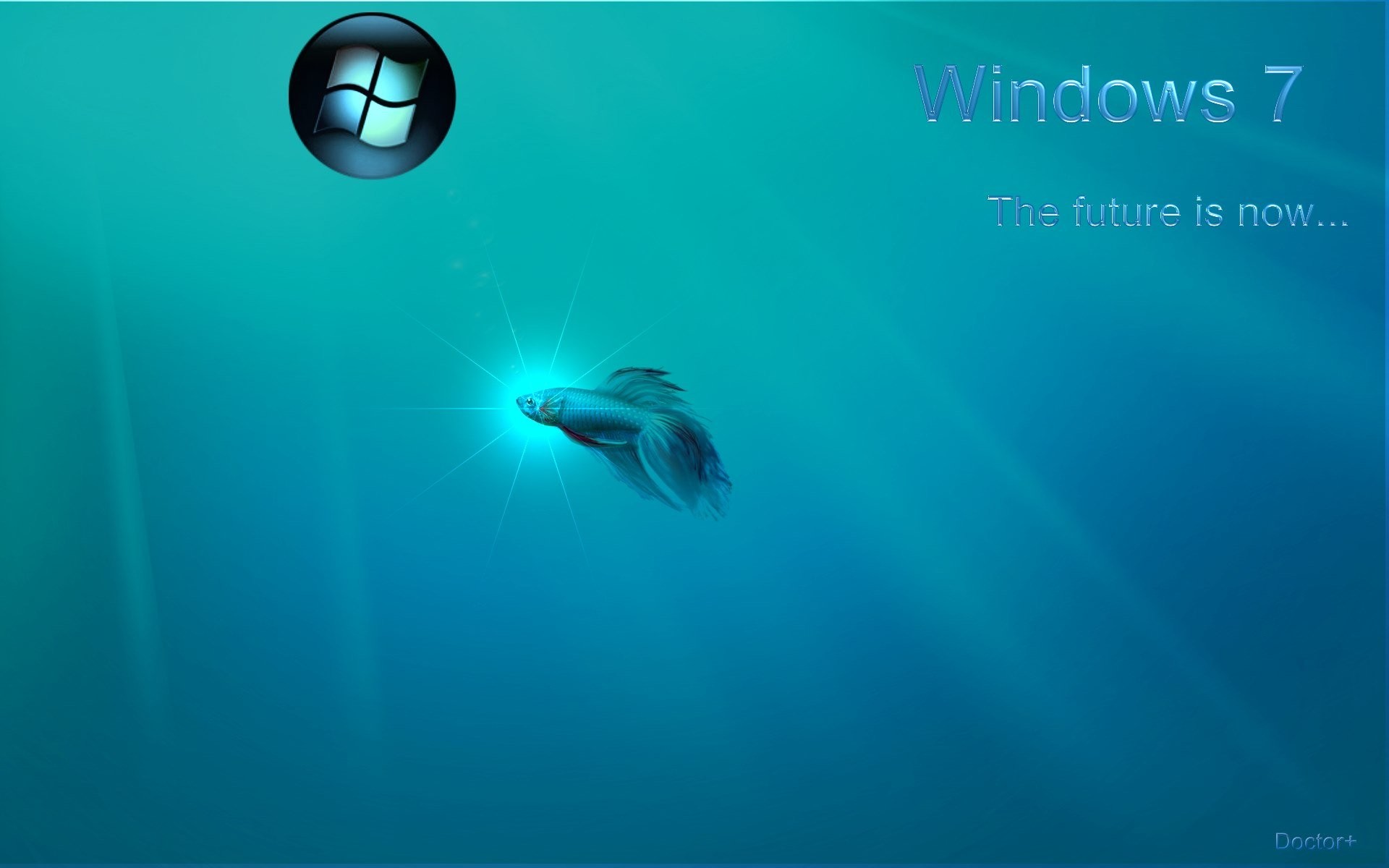 Windows 7, Pesce combattente, Betta, The future is now, Sfondo turchese, wallpaper 1920x1200